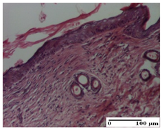 Pharmaceuticals 18 00065 i073 Pharmaceuticals 18 00065 i073