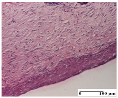 Pharmaceuticals 18 00065 i074 Pharmaceuticals 18 00065 i074