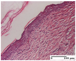 Pharmaceuticals 18 00065 i075 Pharmaceuticals 18 00065 i075