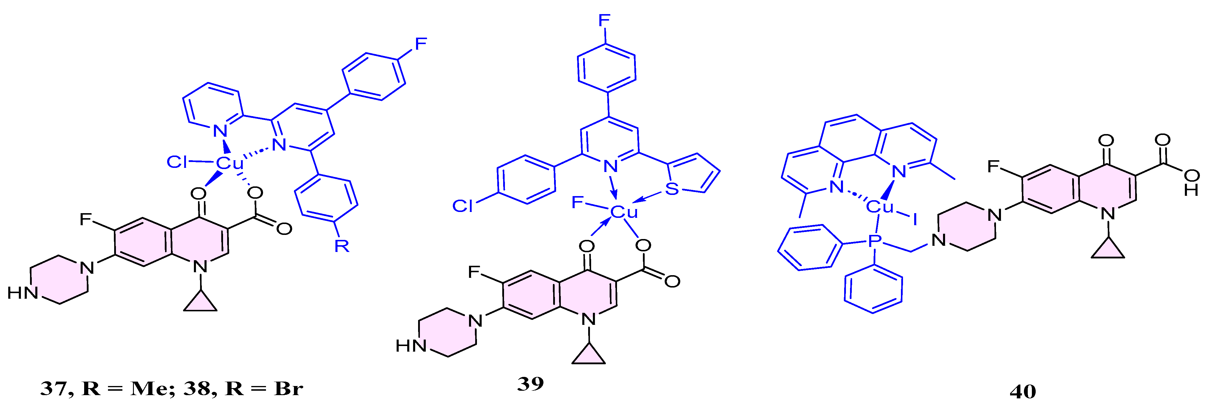 Pharmaceuticals 18 00072 i012 Pharmaceuticals 18 00072 i012