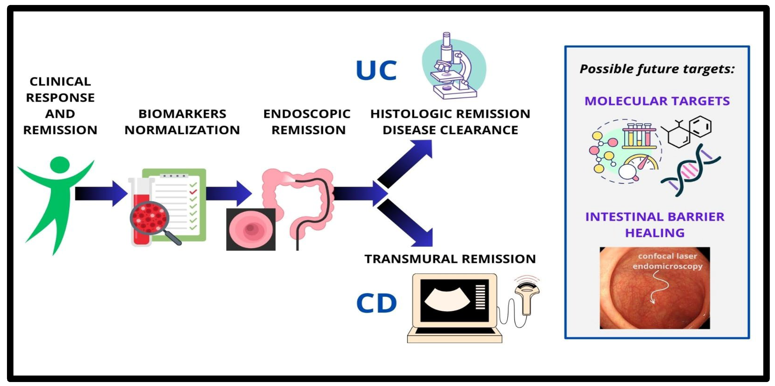 Pharmaceuticals 18 00078 g001