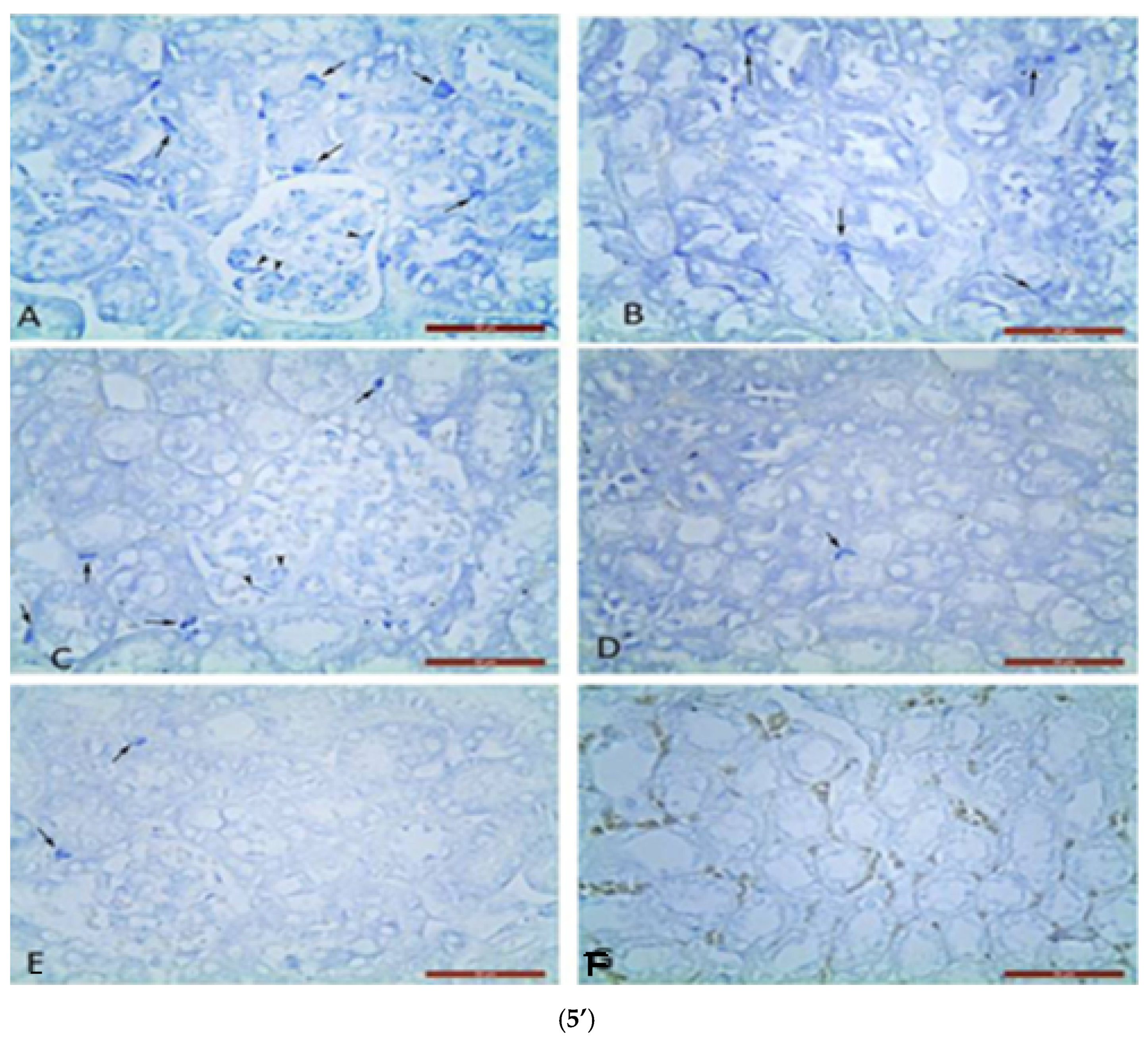 Pharmaceuticals 18 00085 g005a