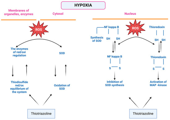 Pharmaceuticals 18 00106 g003