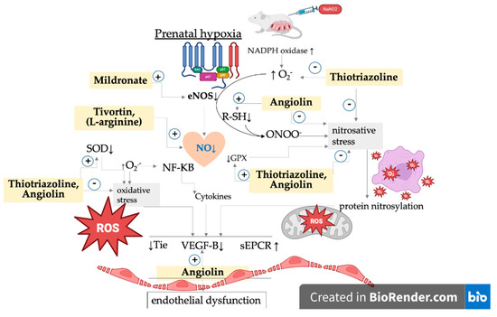 Pharmaceuticals 18 00106 g004