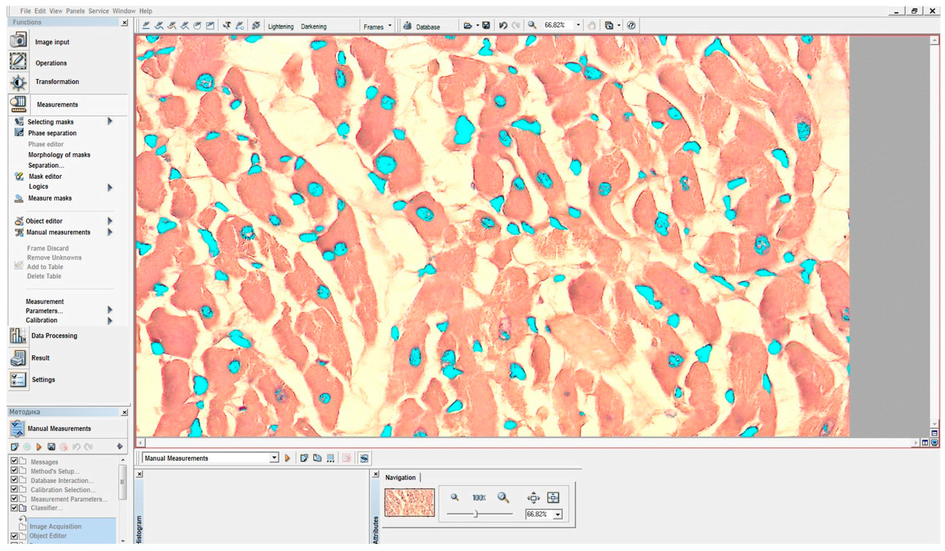 Pharmaceuticals 18 00106 g005