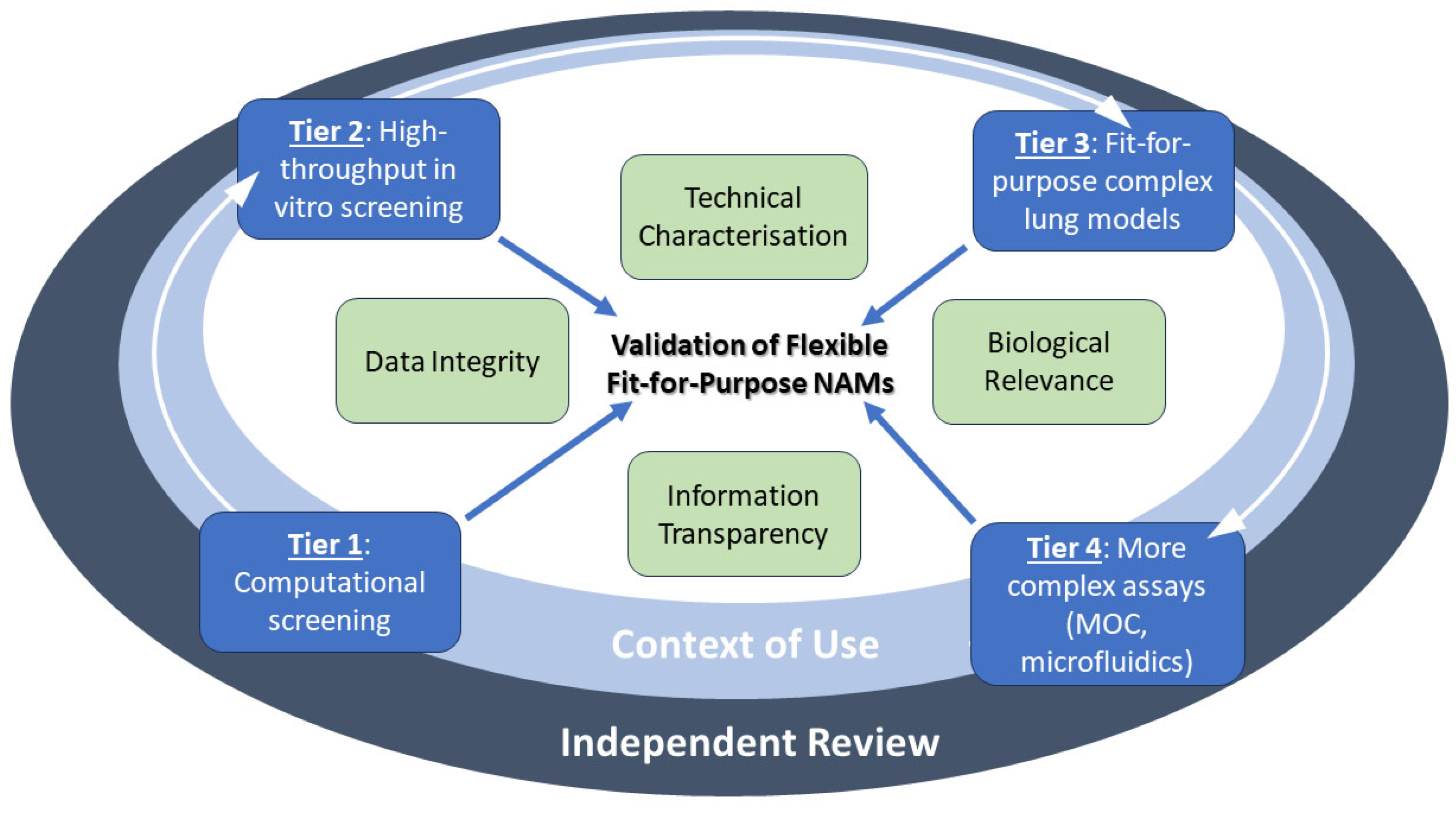 Pharmaceuticals 18 00113 g003