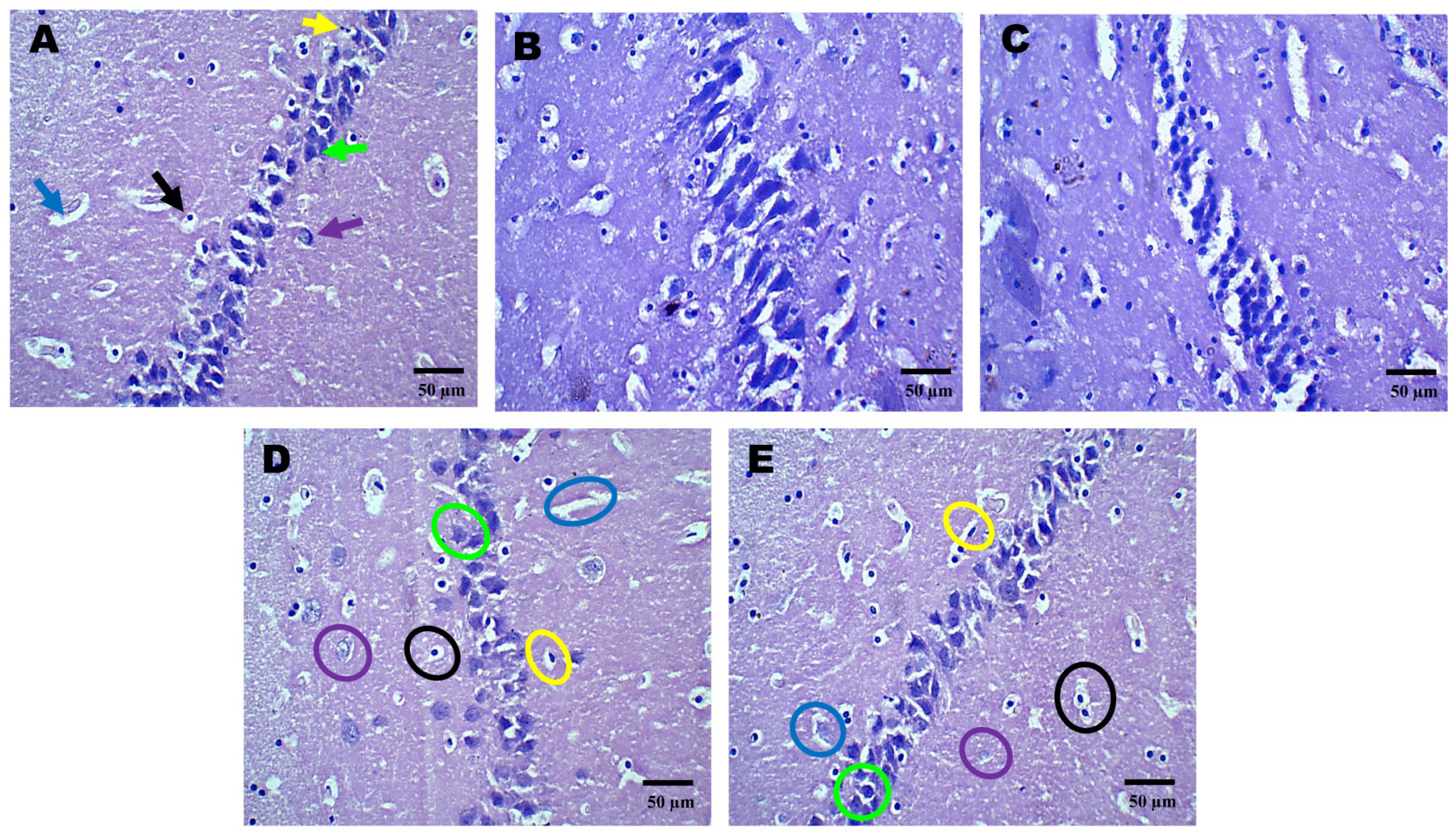 Pharmaceuticals 18 00115 g003