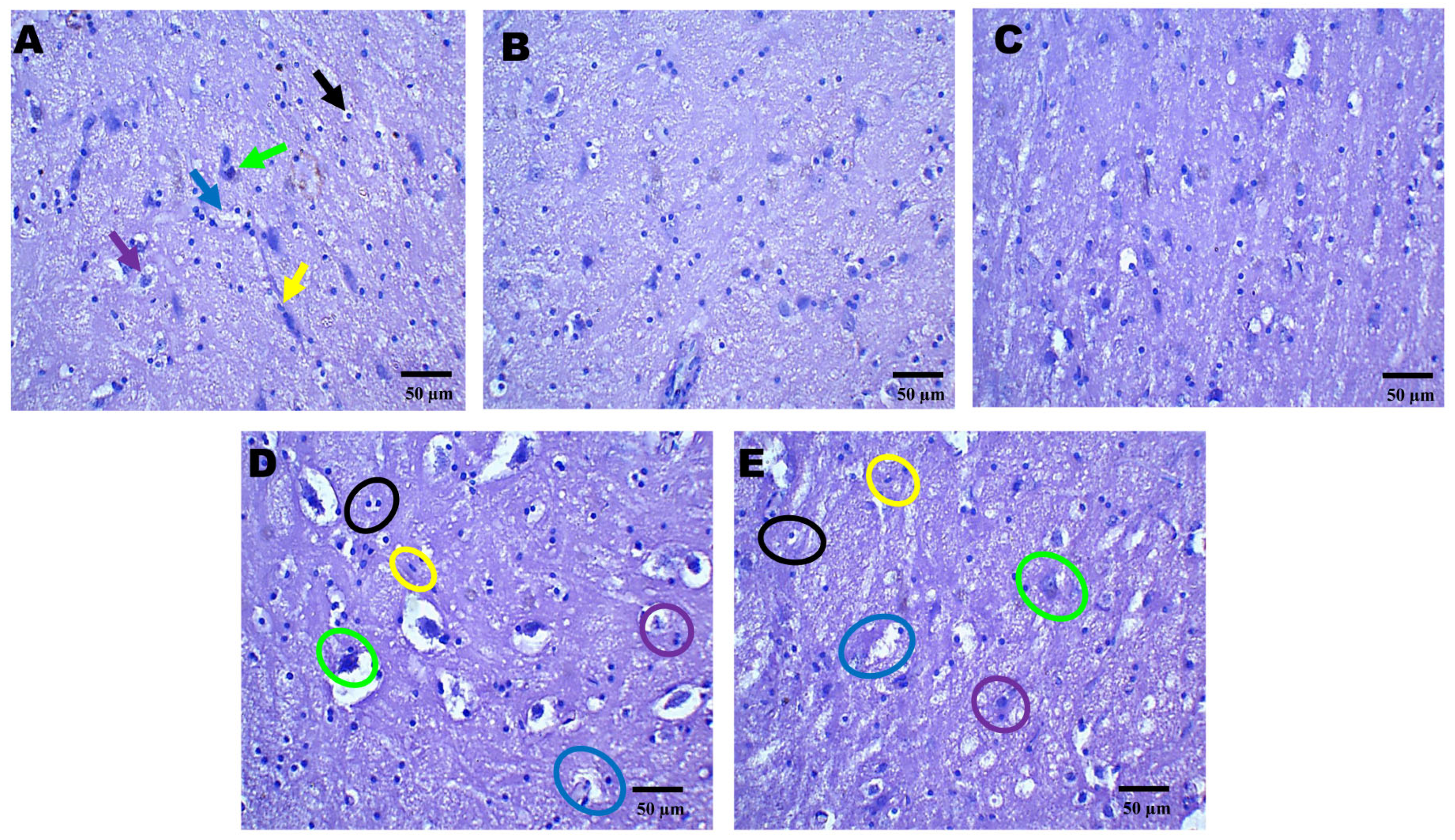 Pharmaceuticals 18 00115 g004