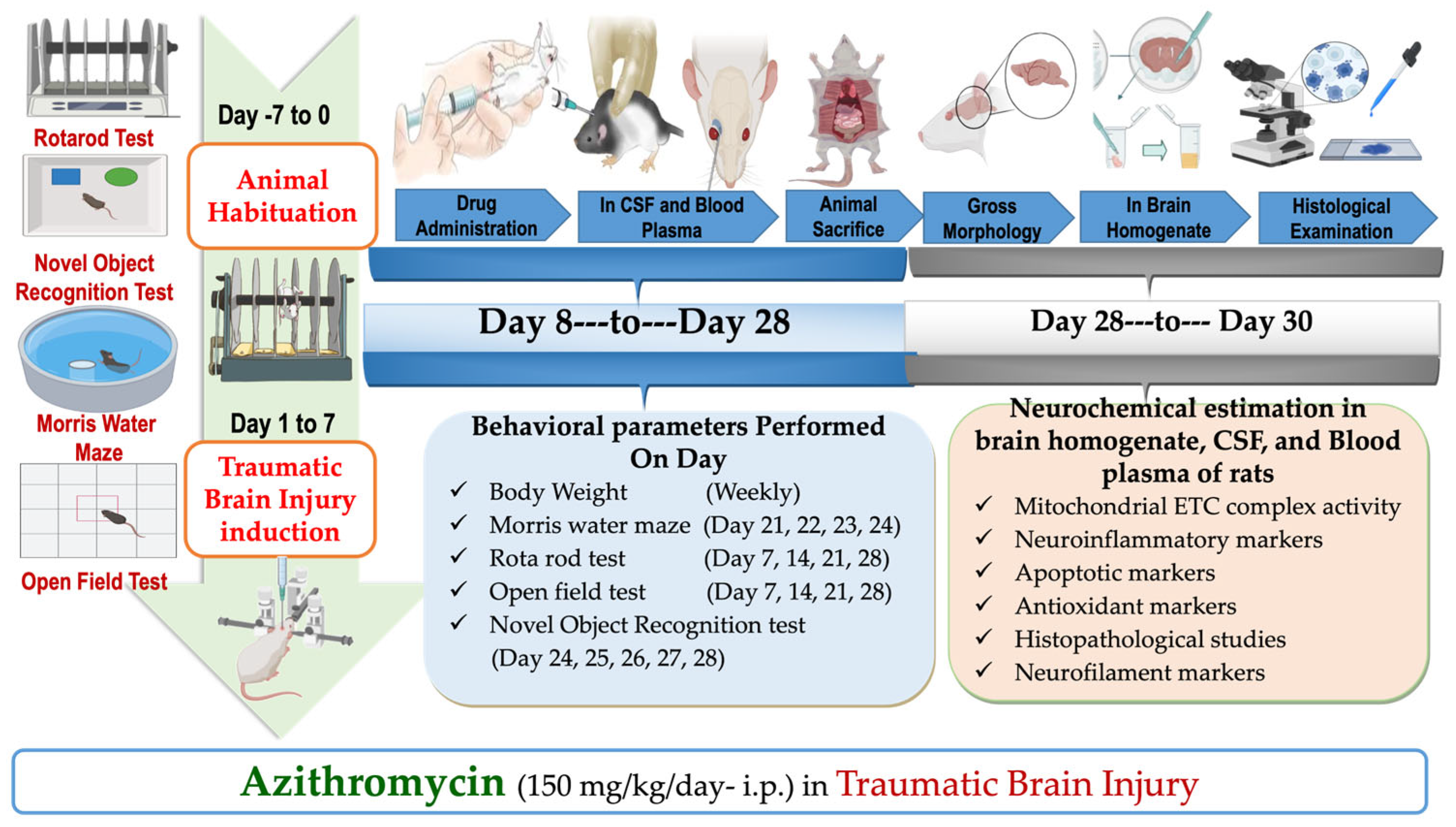 Pharmaceuticals 18 00115 g008