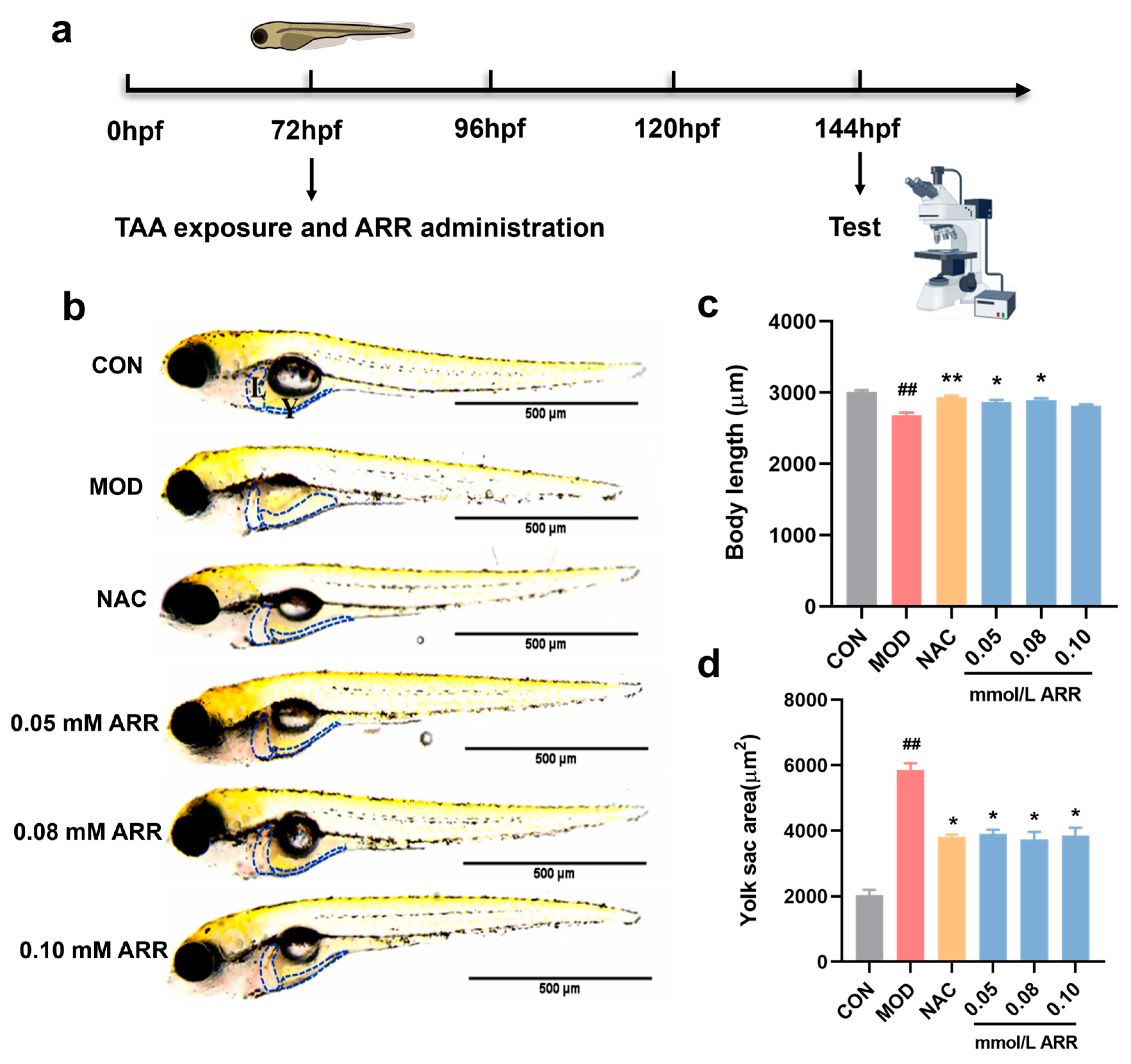 Pharmaceuticals 18 00116 g002