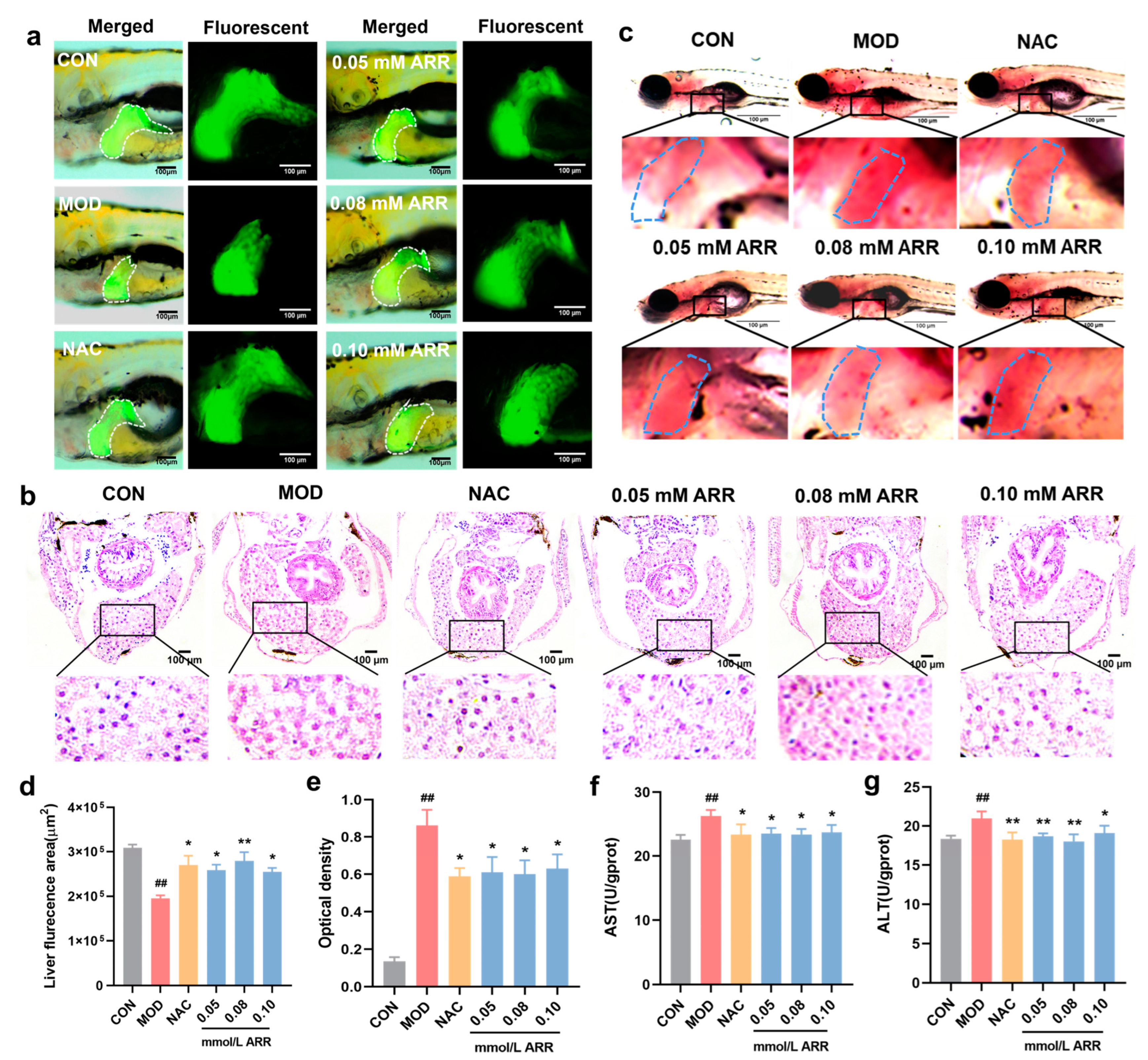 Pharmaceuticals 18 00116 g003