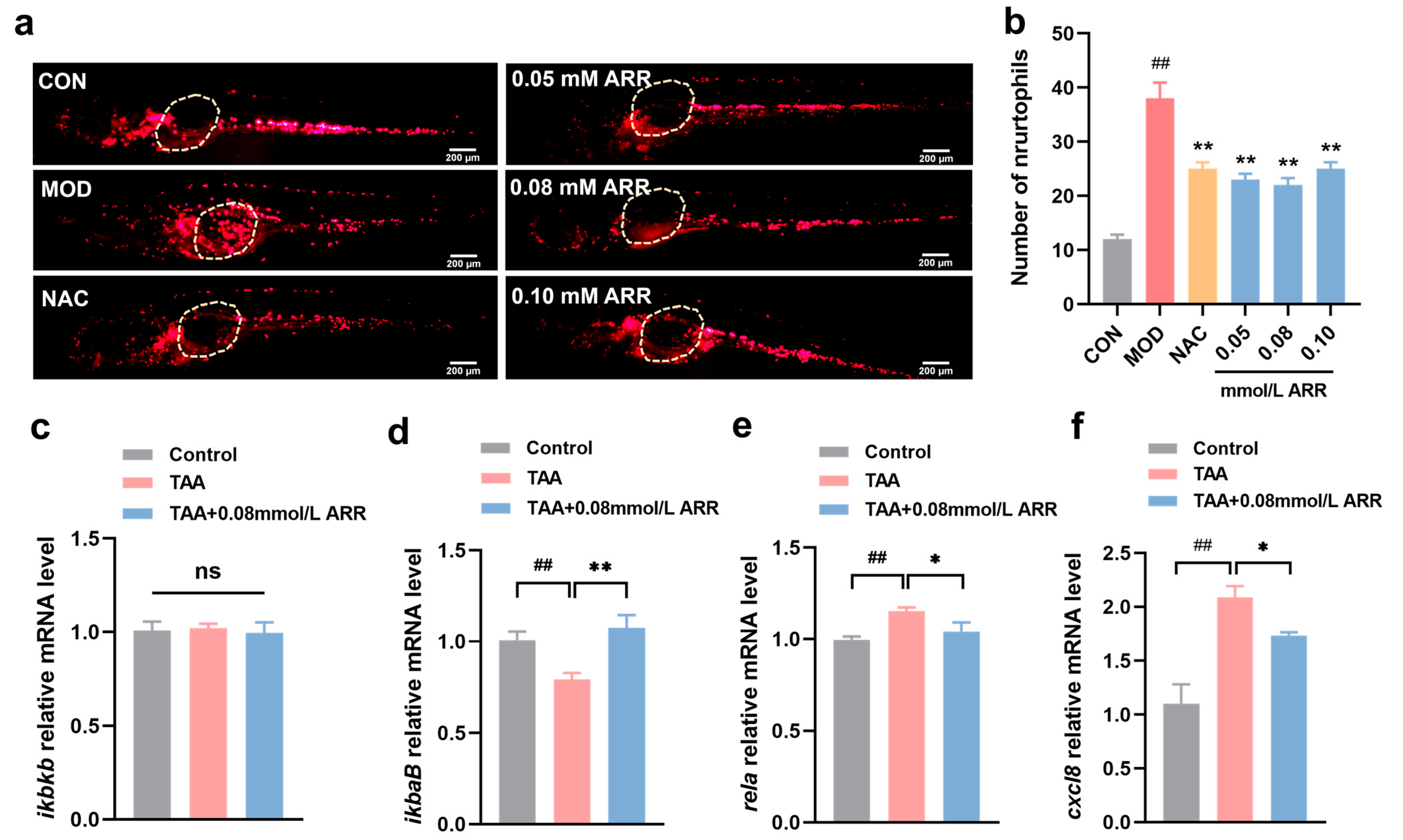 Pharmaceuticals 18 00116 g005