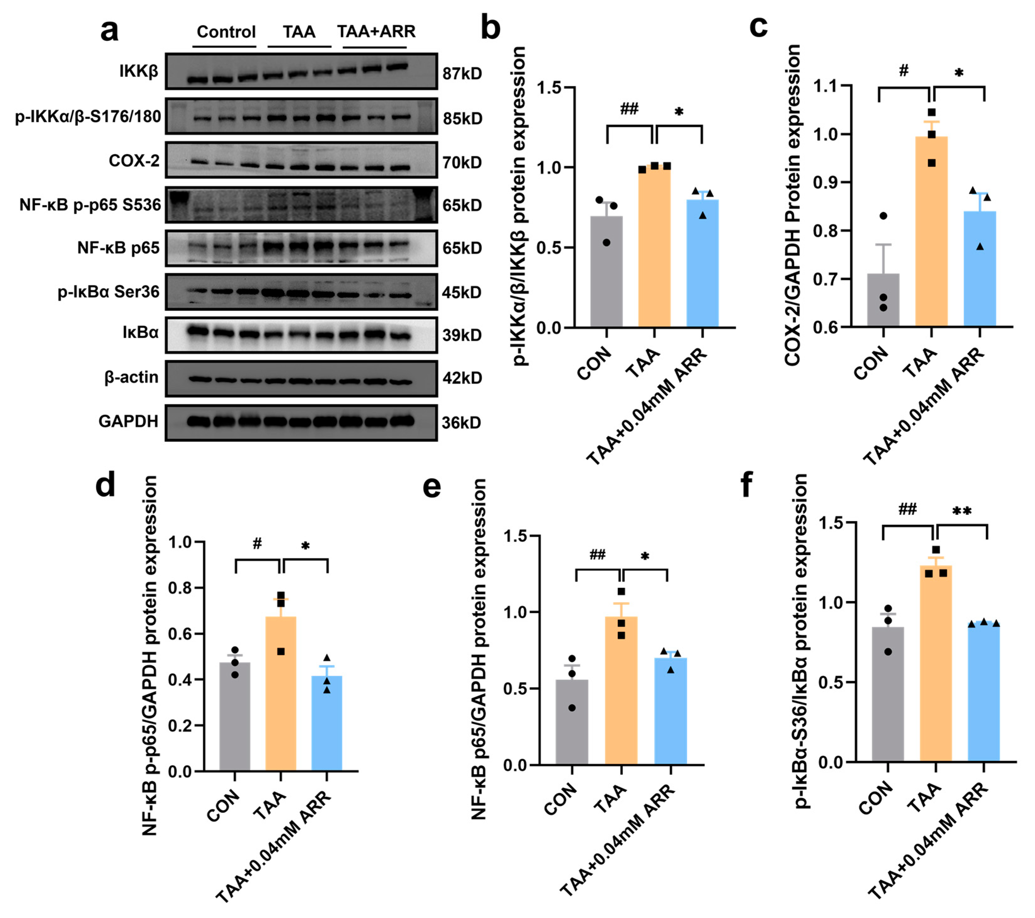 Pharmaceuticals 18 00116 g007
