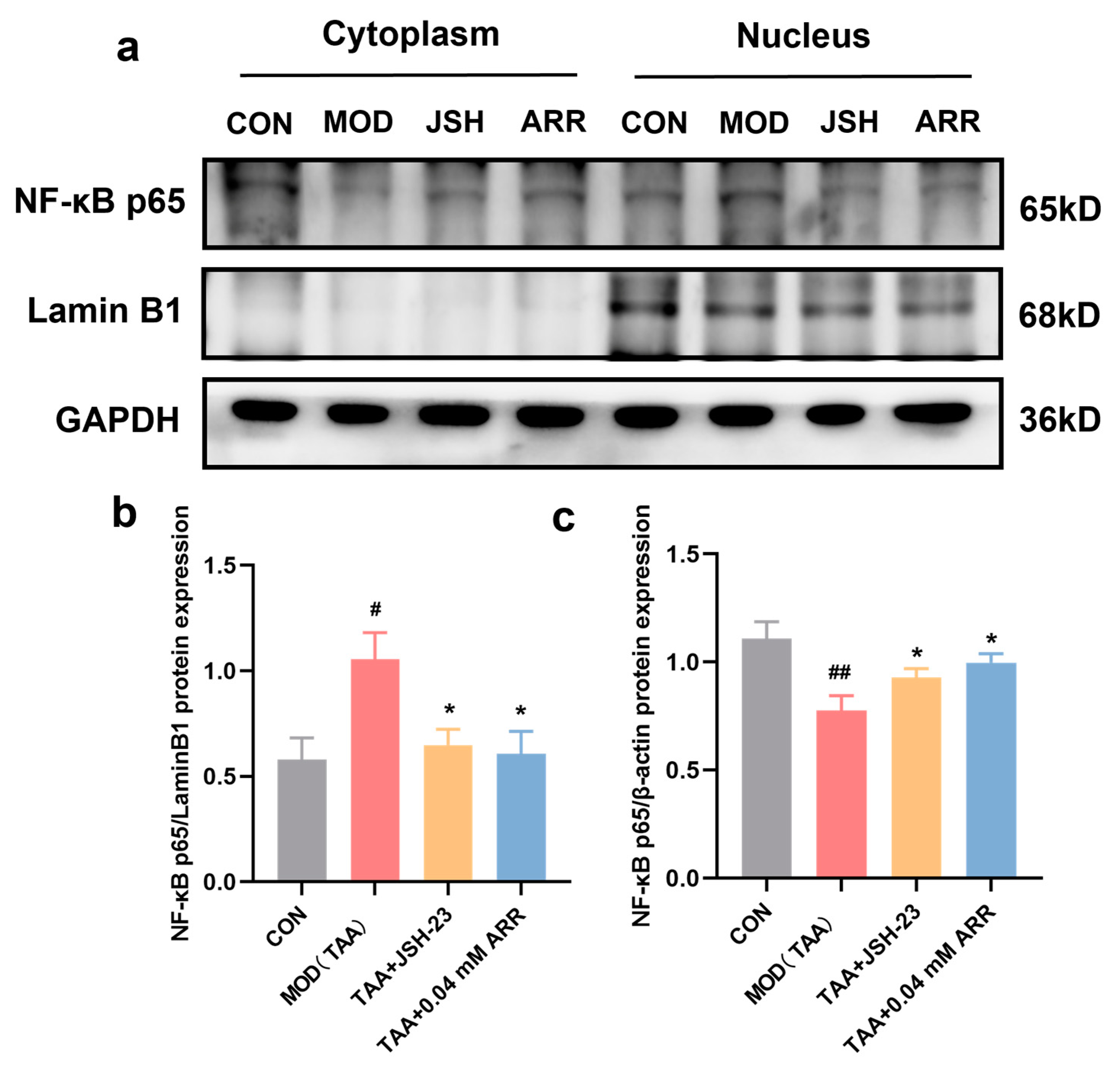 Pharmaceuticals 18 00116 g008