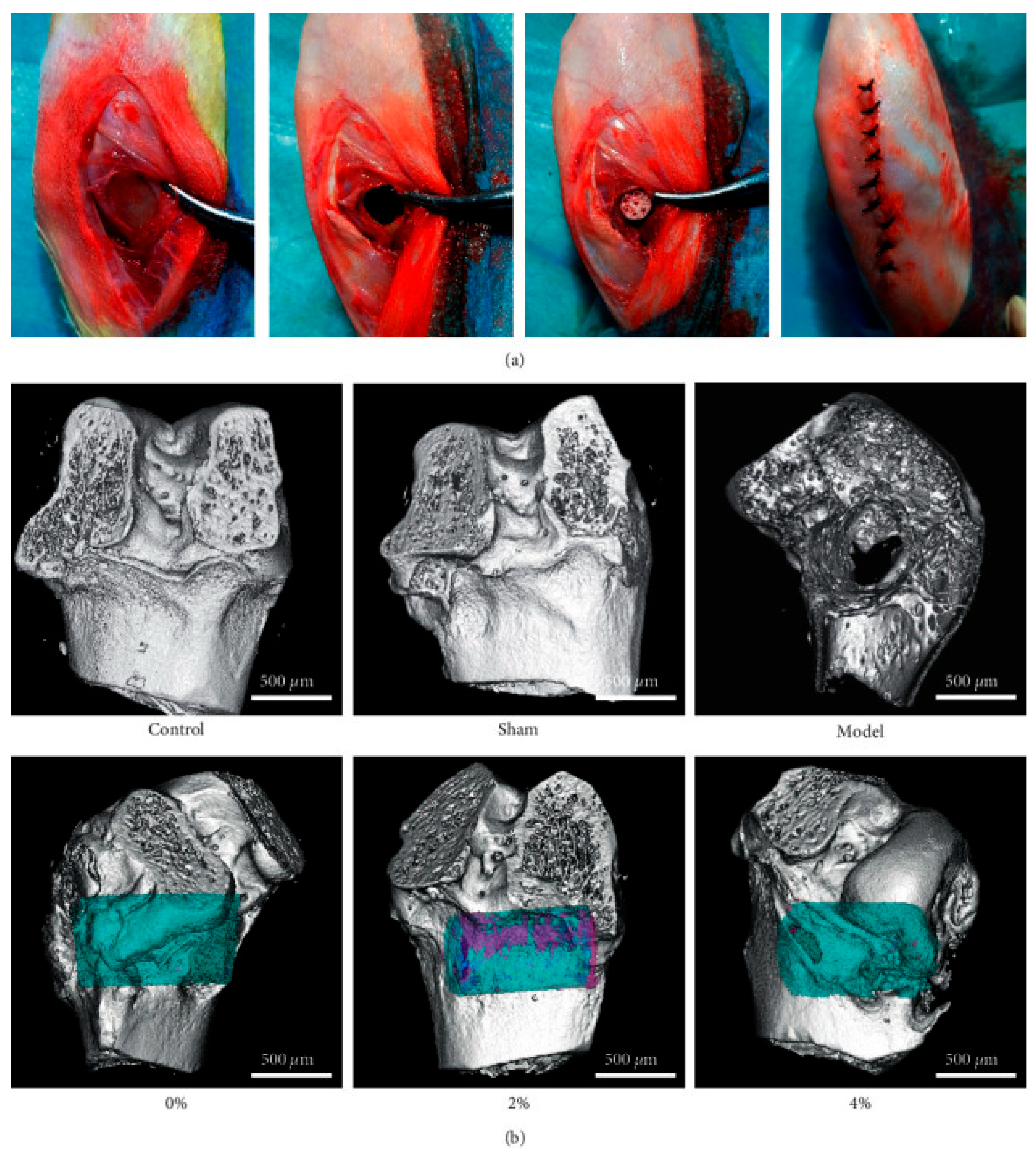 Pharmaceuticals 18 00127 g002