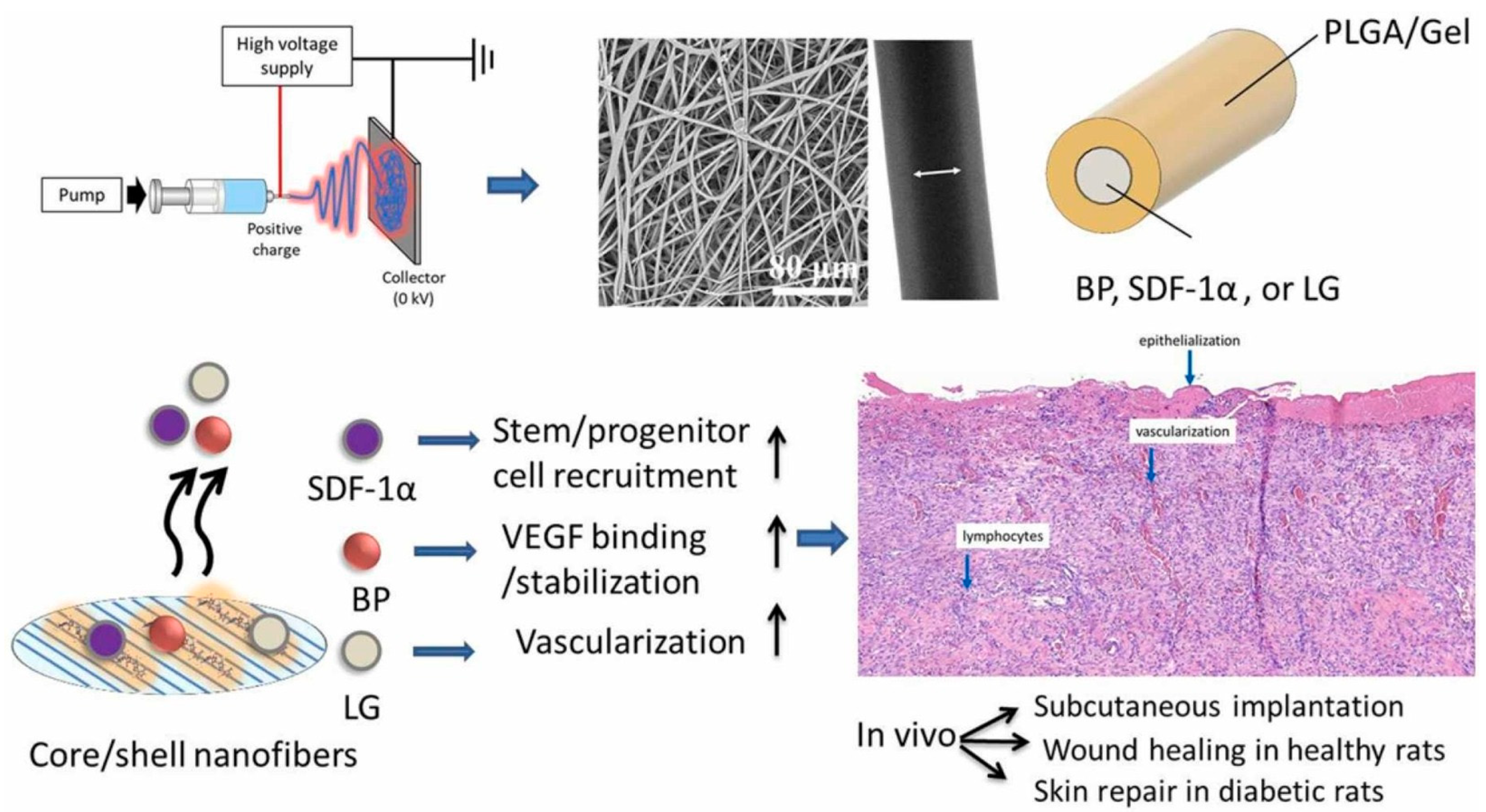Pharmaceuticals 18 00127 g003