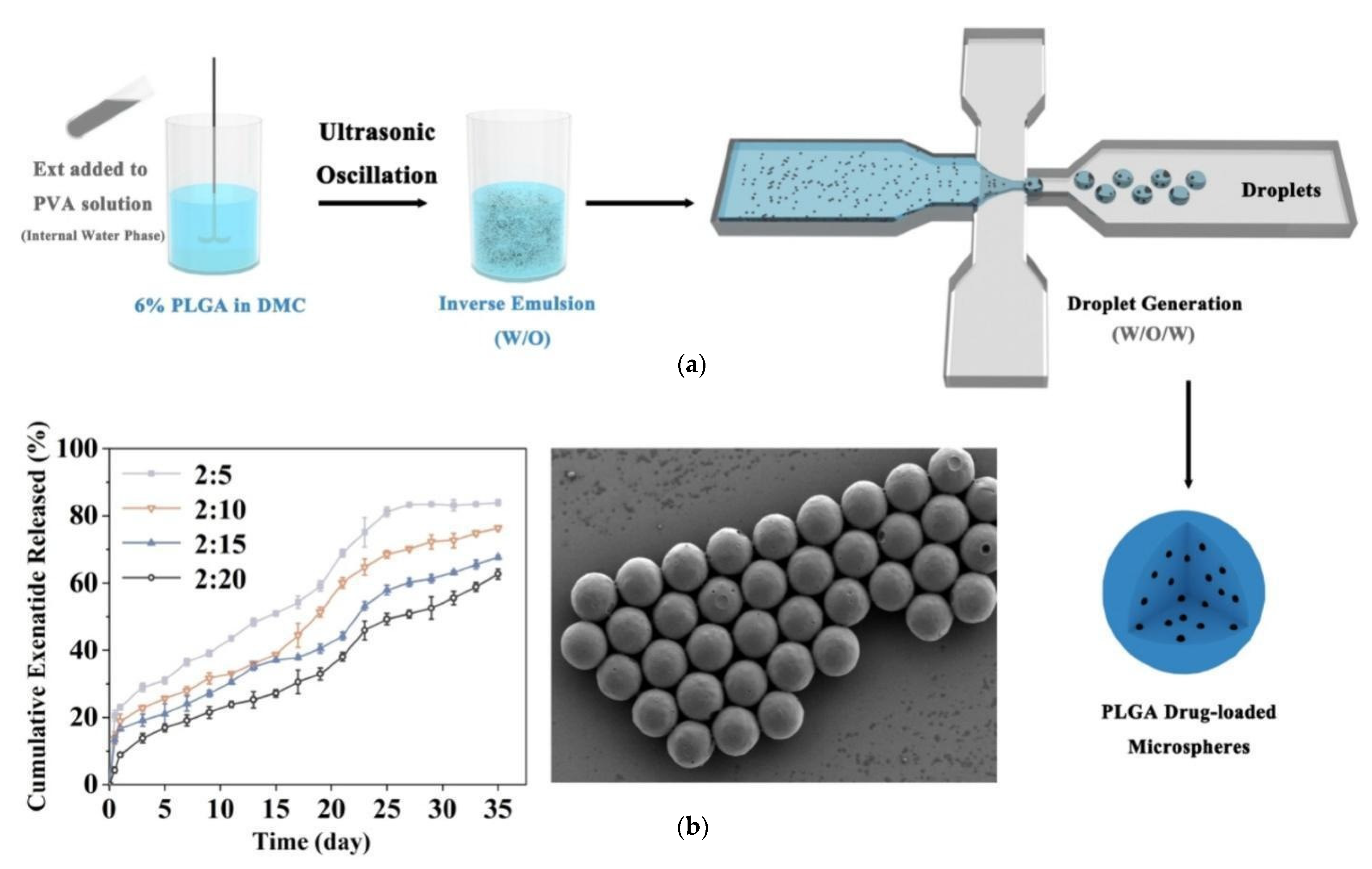 Pharmaceuticals 18 00127 g004