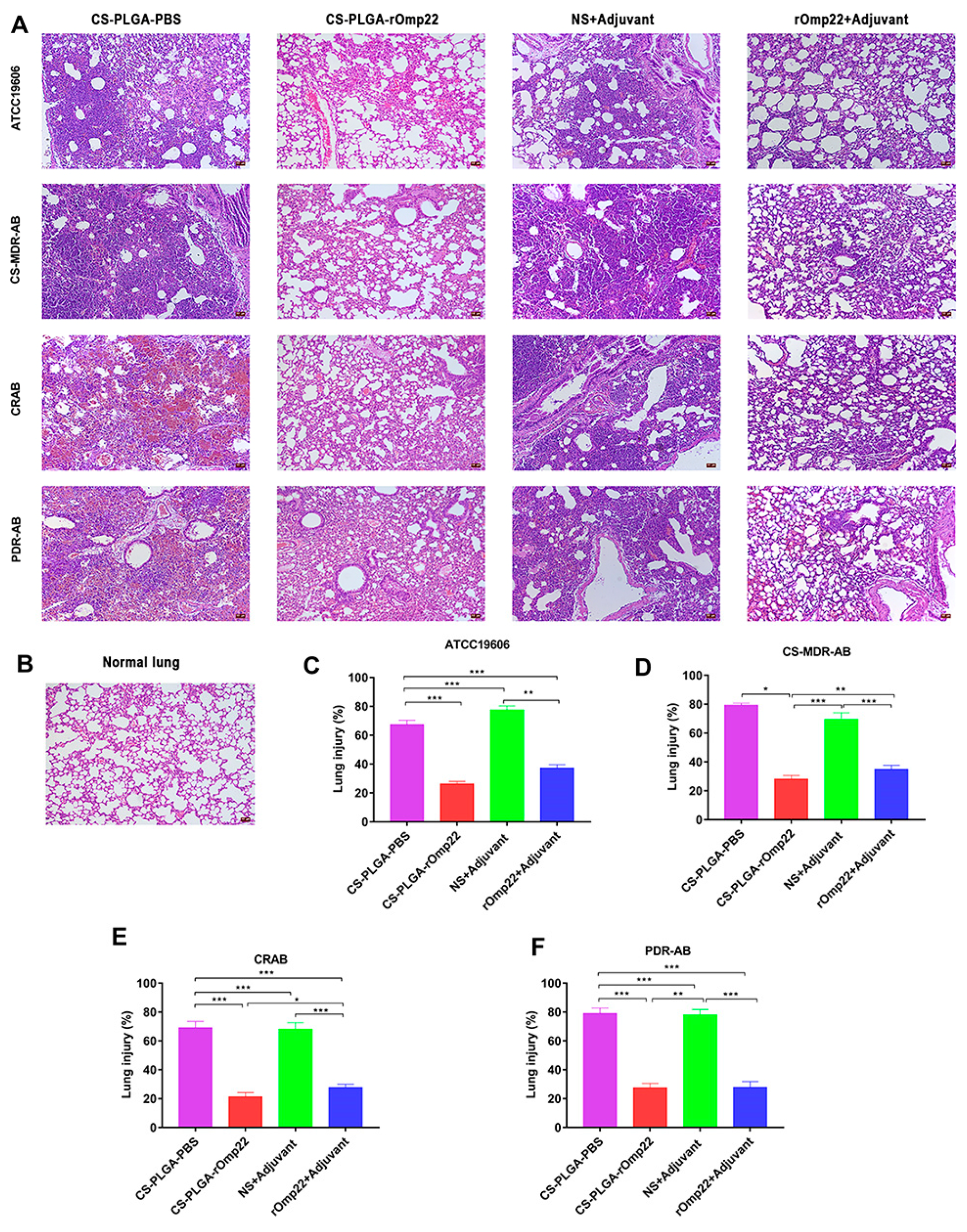 Pharmaceuticals 18 00127 g005