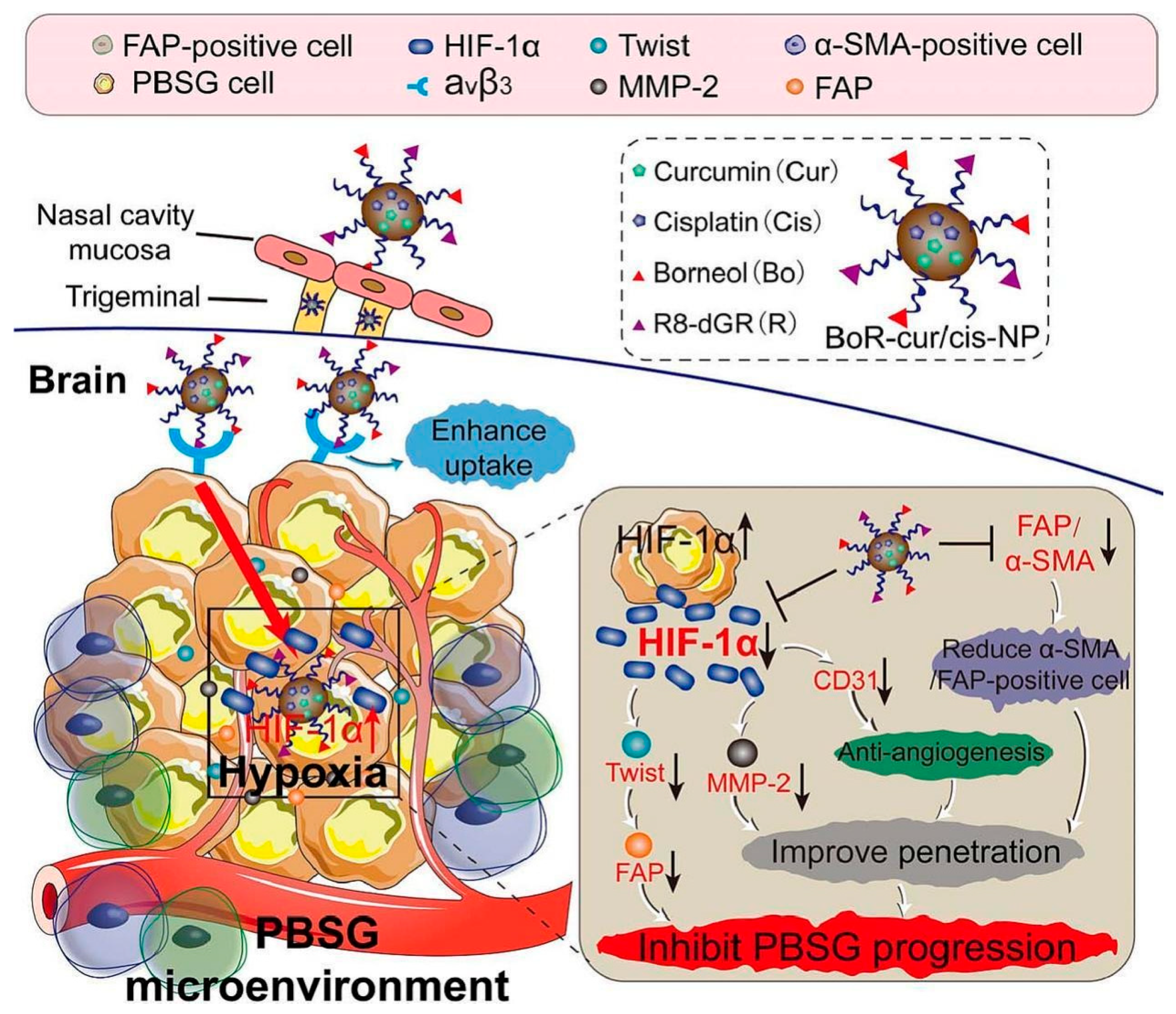 Pharmaceuticals 18 00127 g007