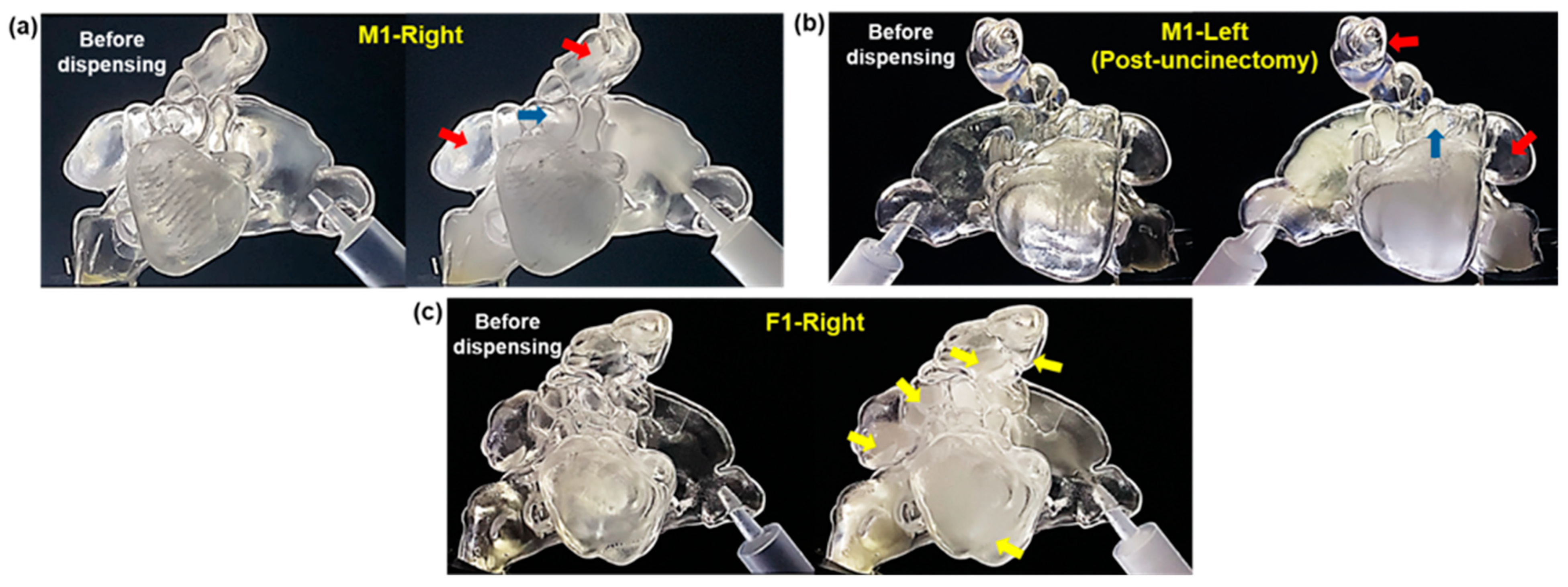 Pharmaceuticals 18 00142 g004