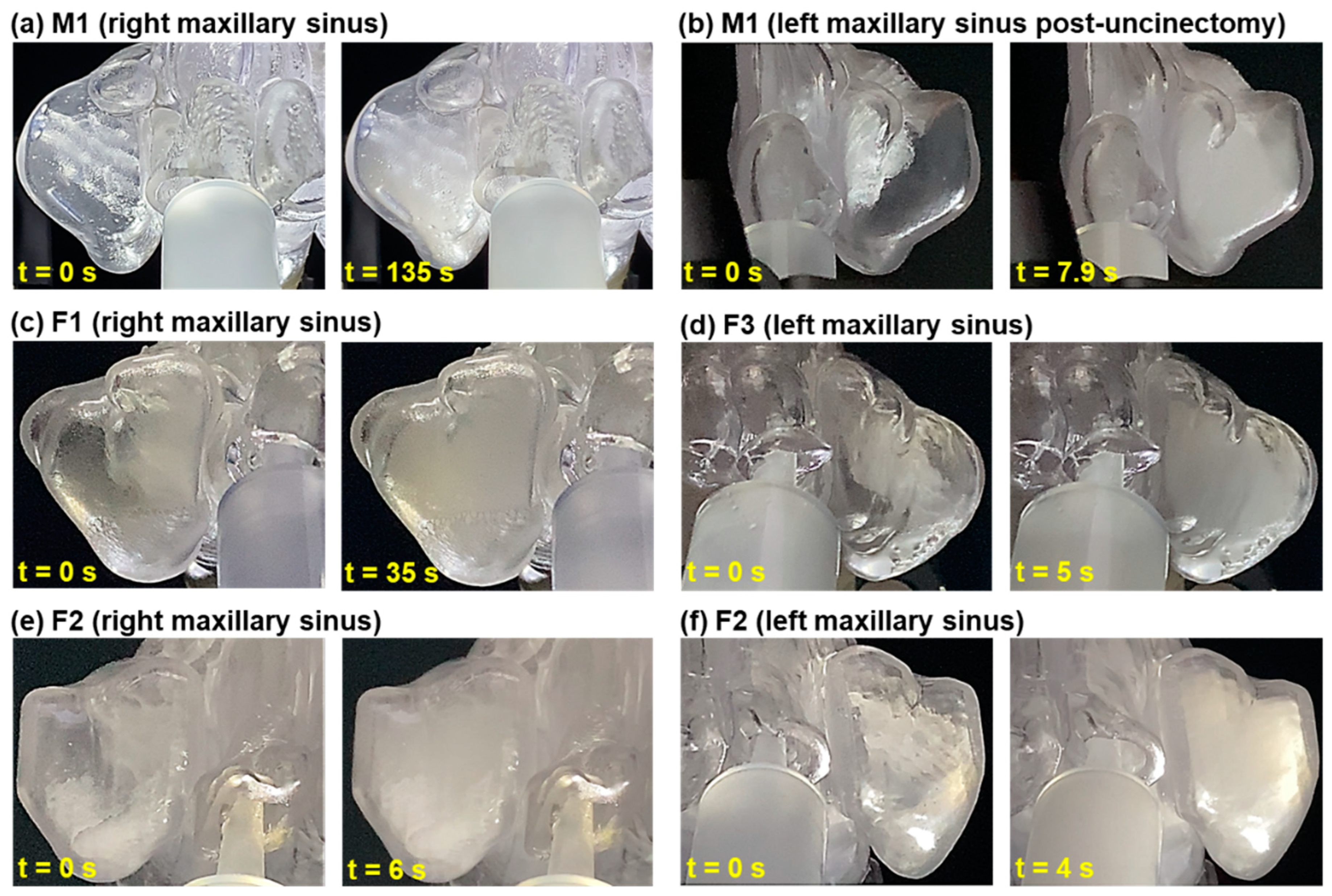 Pharmaceuticals 18 00142 g006