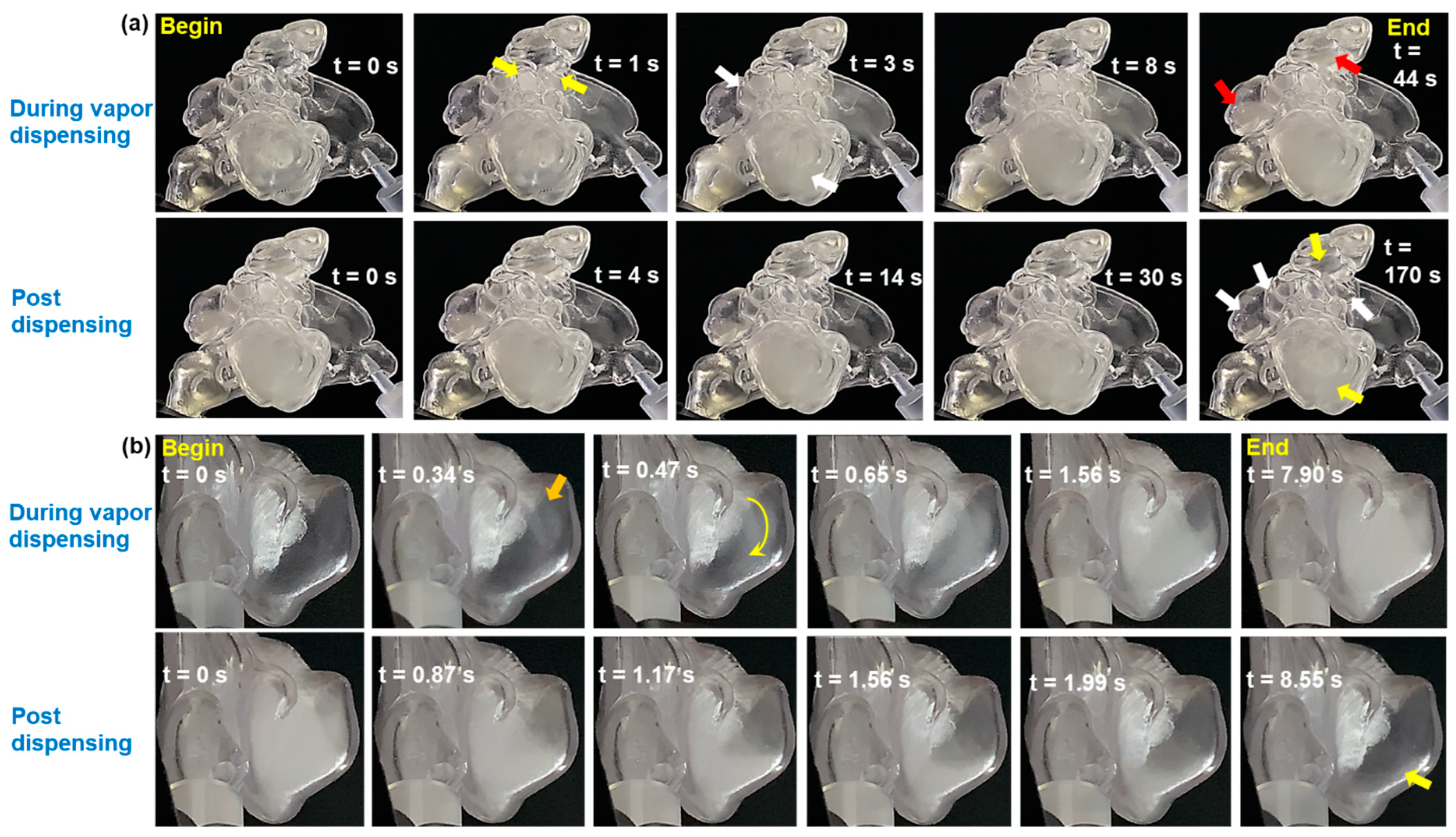 Pharmaceuticals 18 00142 g007