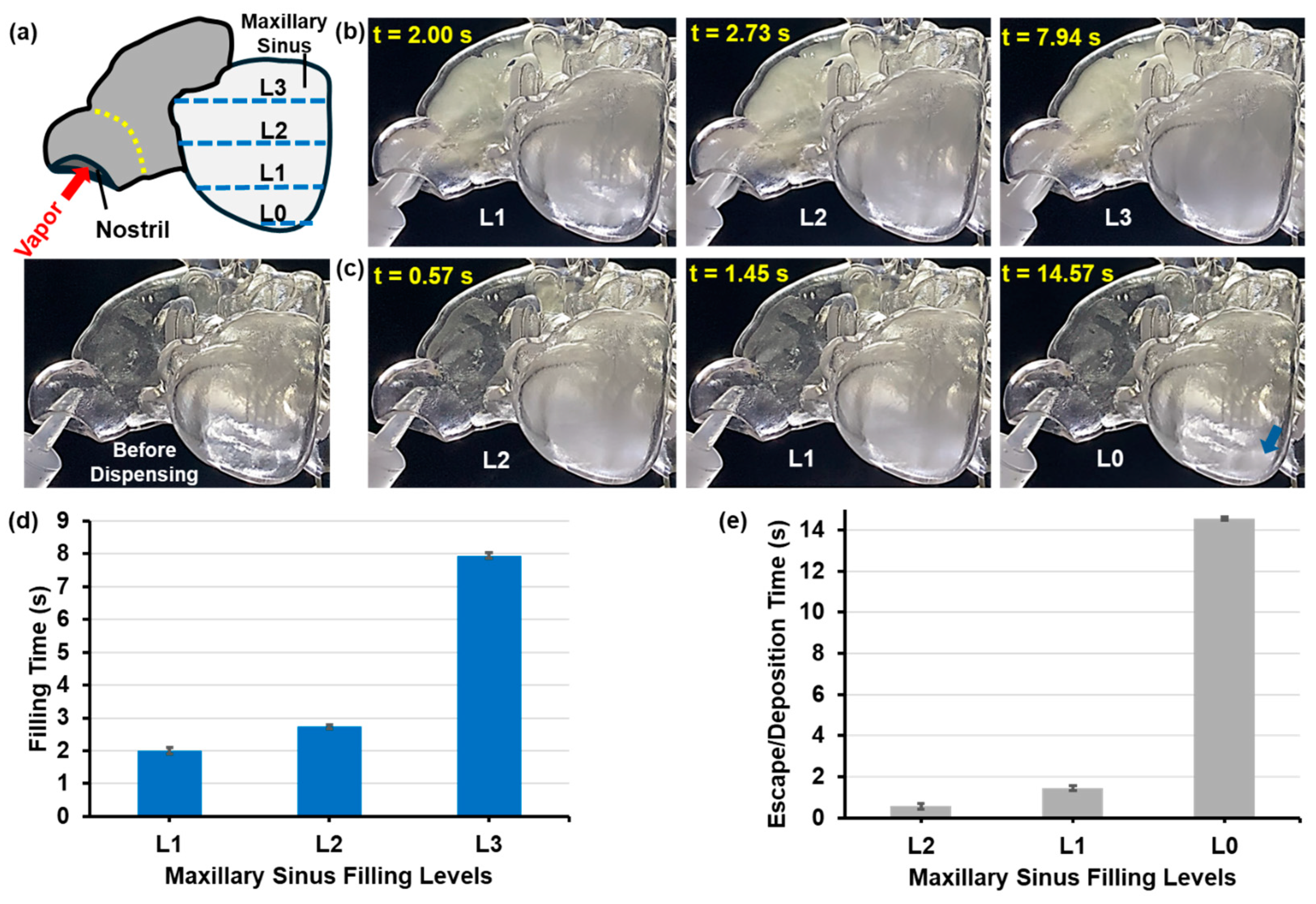 Pharmaceuticals 18 00142 g010