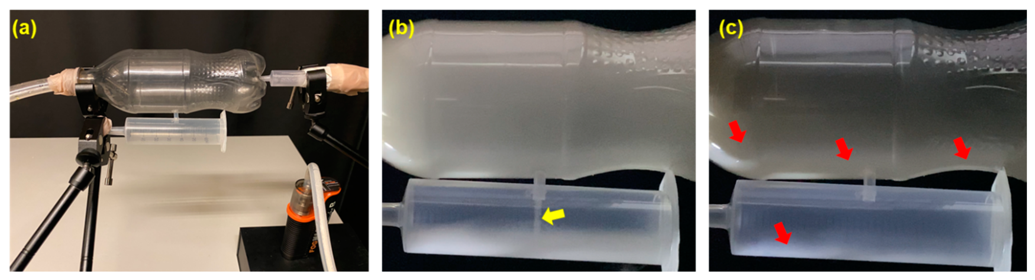 Pharmaceuticals 18 00142 g011