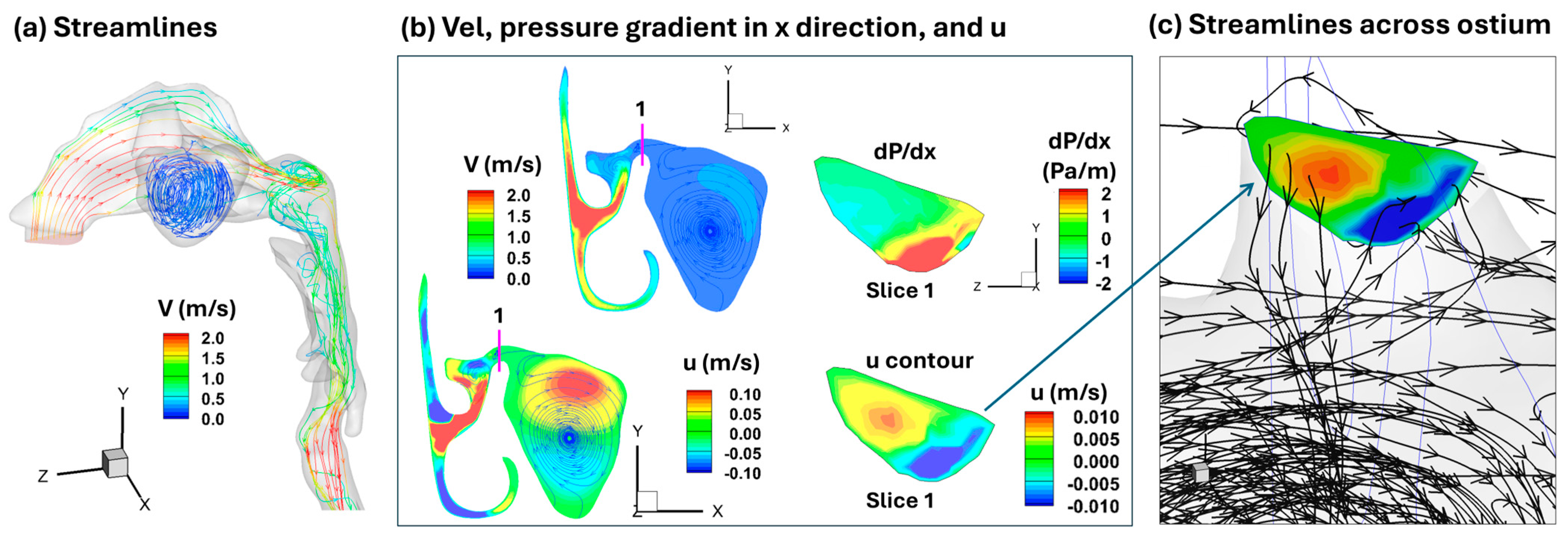 Pharmaceuticals 18 00142 g012