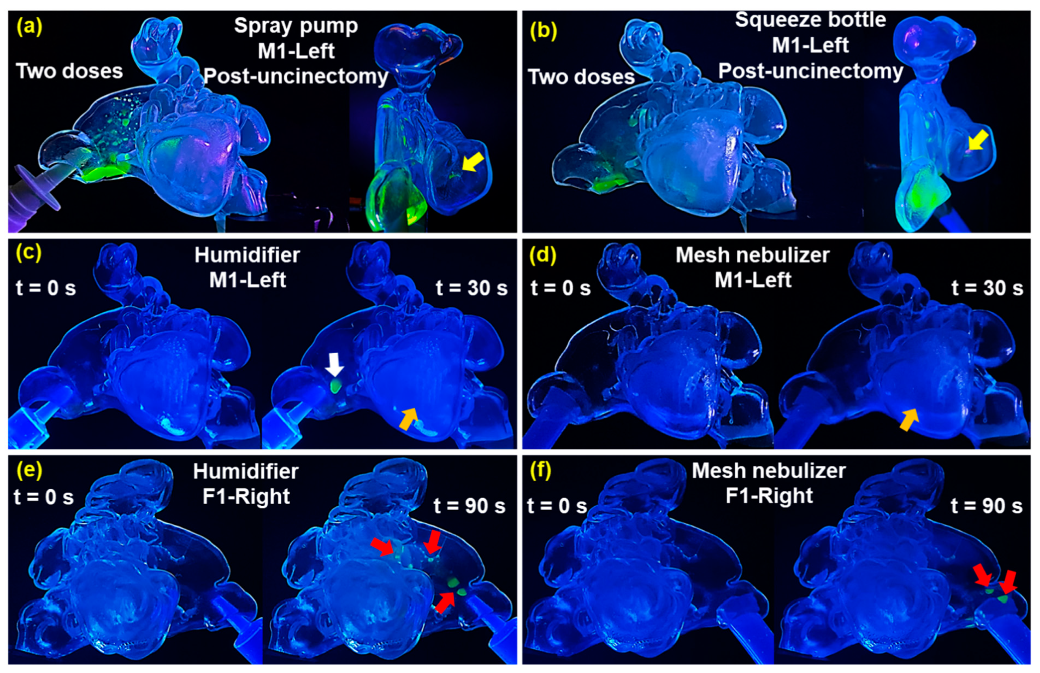 Pharmaceuticals 18 00142 g013