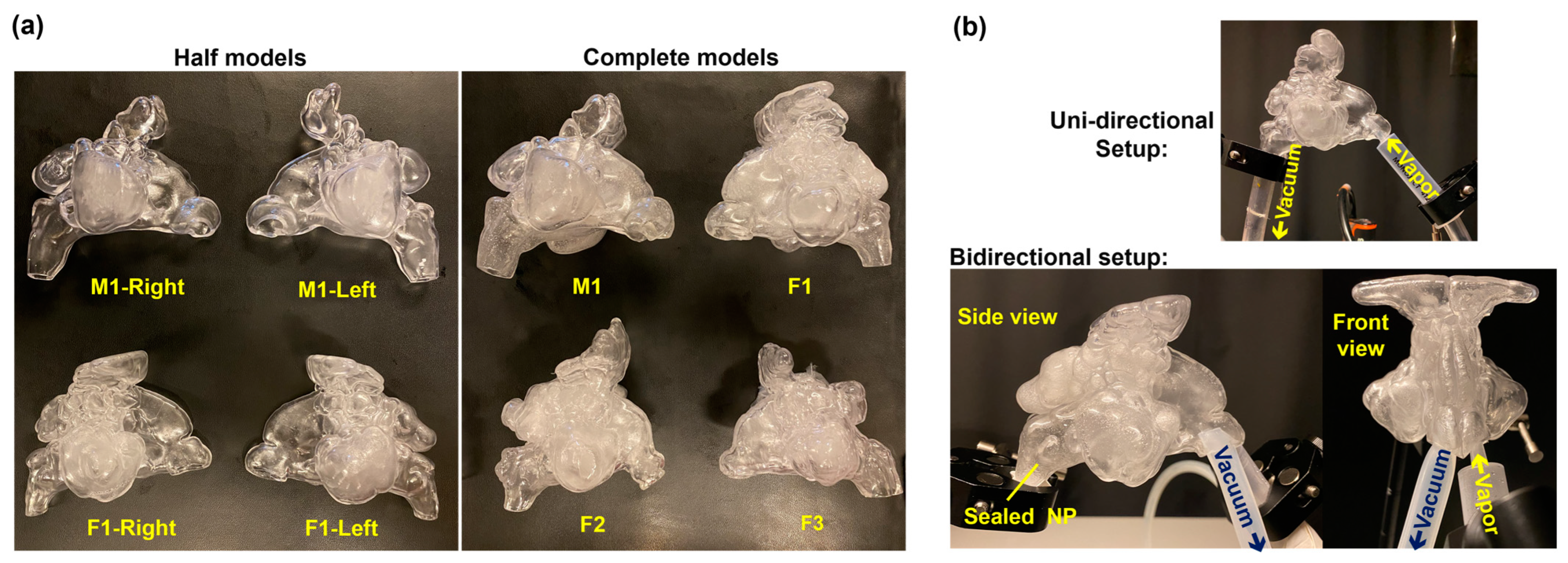 Pharmaceuticals 18 00142 g014