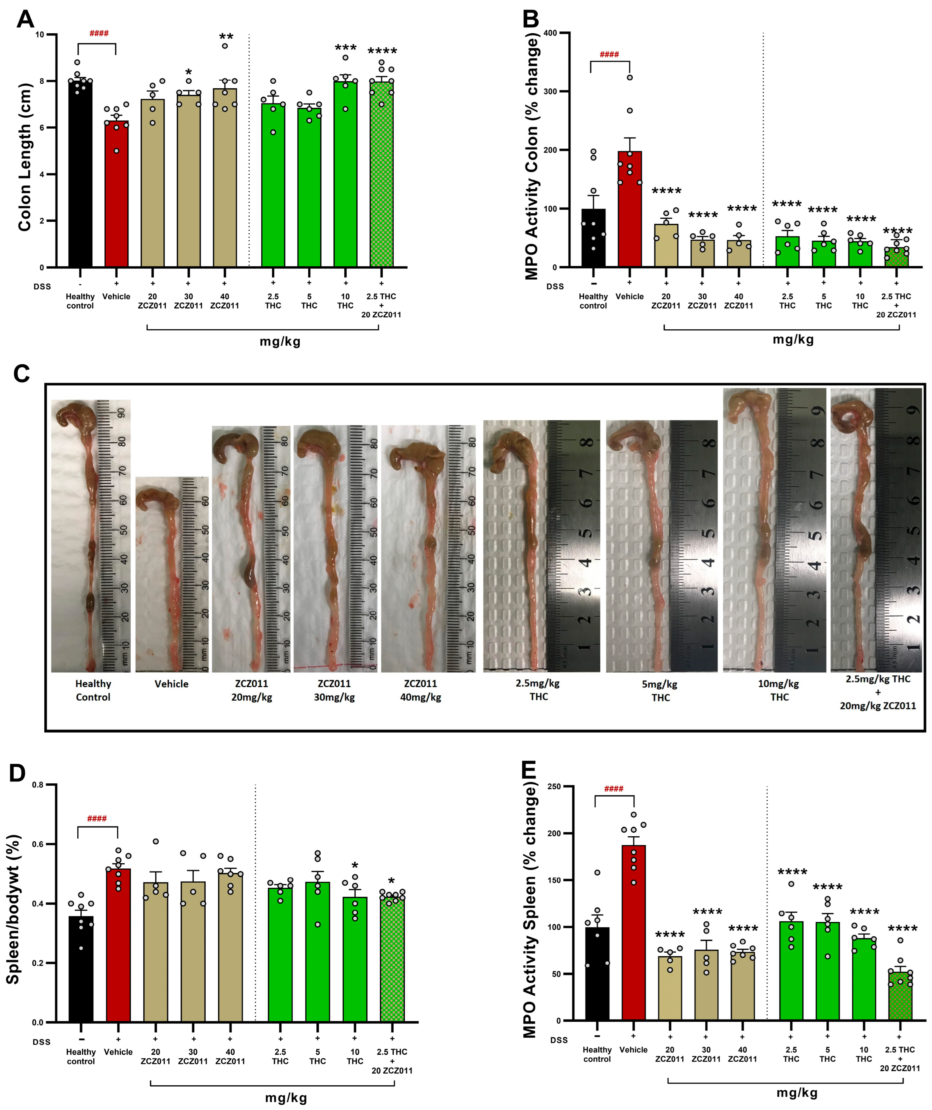 Pharmaceuticals 18 00148 g003