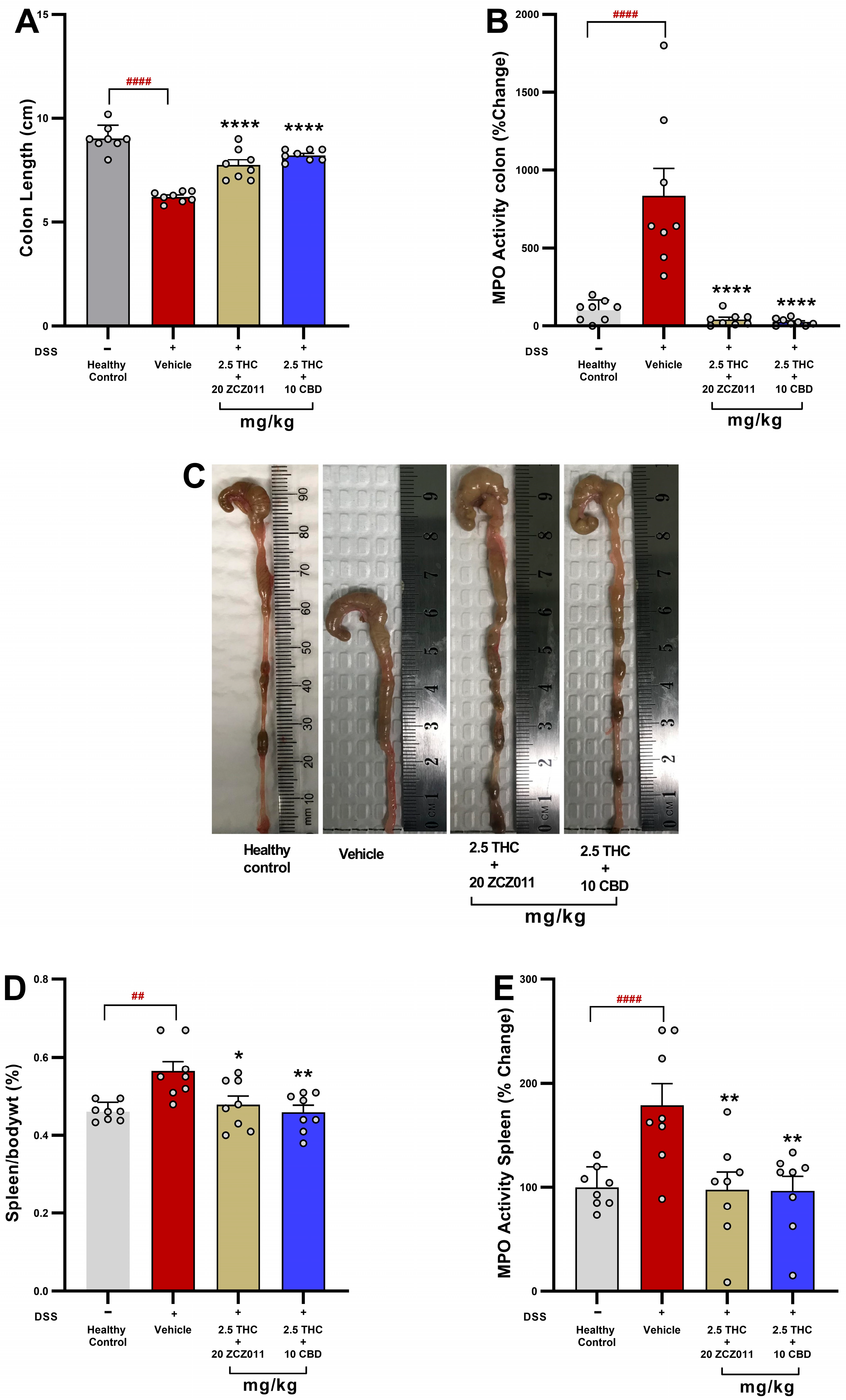 Pharmaceuticals 18 00148 g004