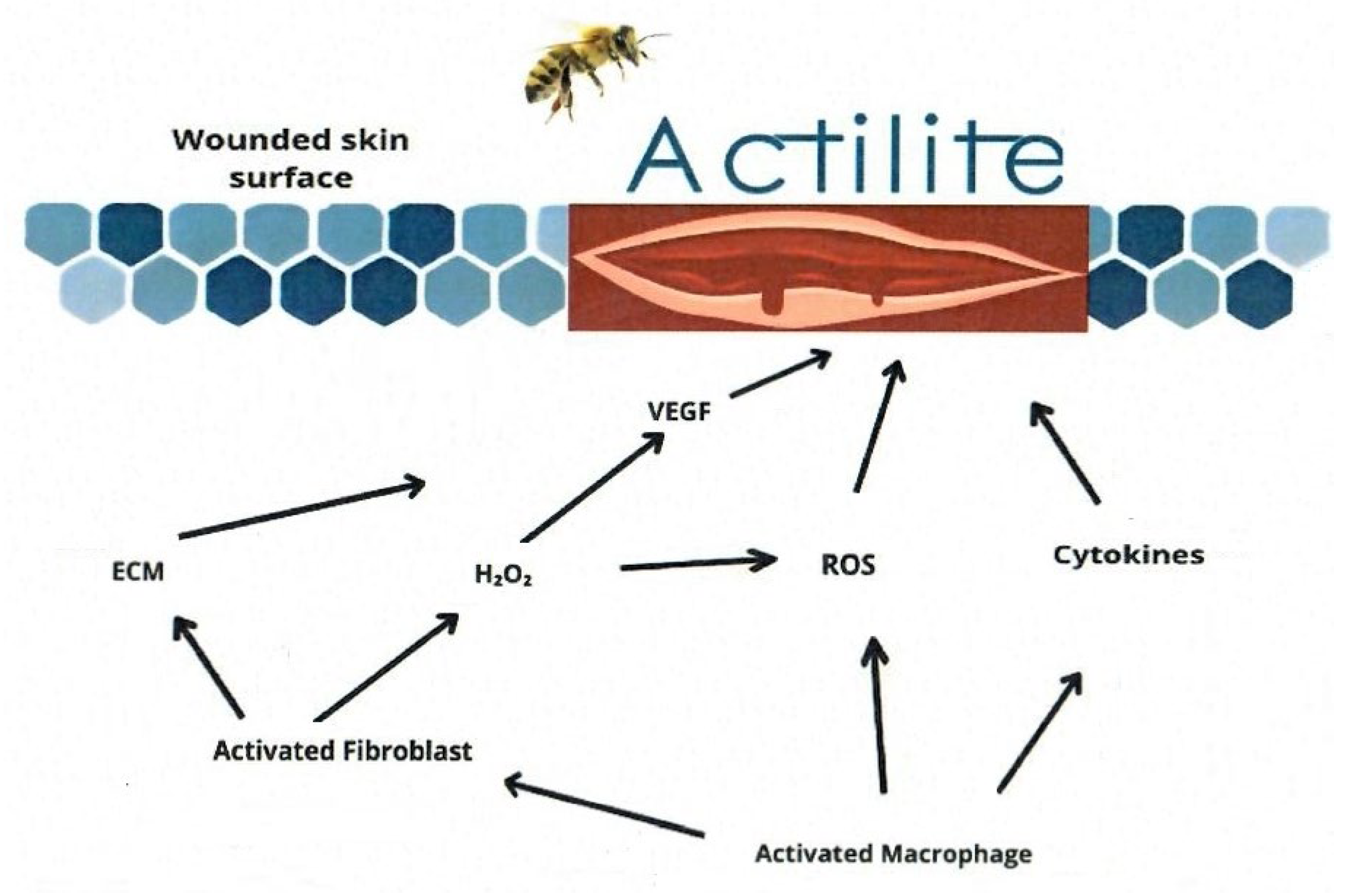 Pharmaceuticals 18 00149 g003 Pharmaceuticals 18 00149 g003