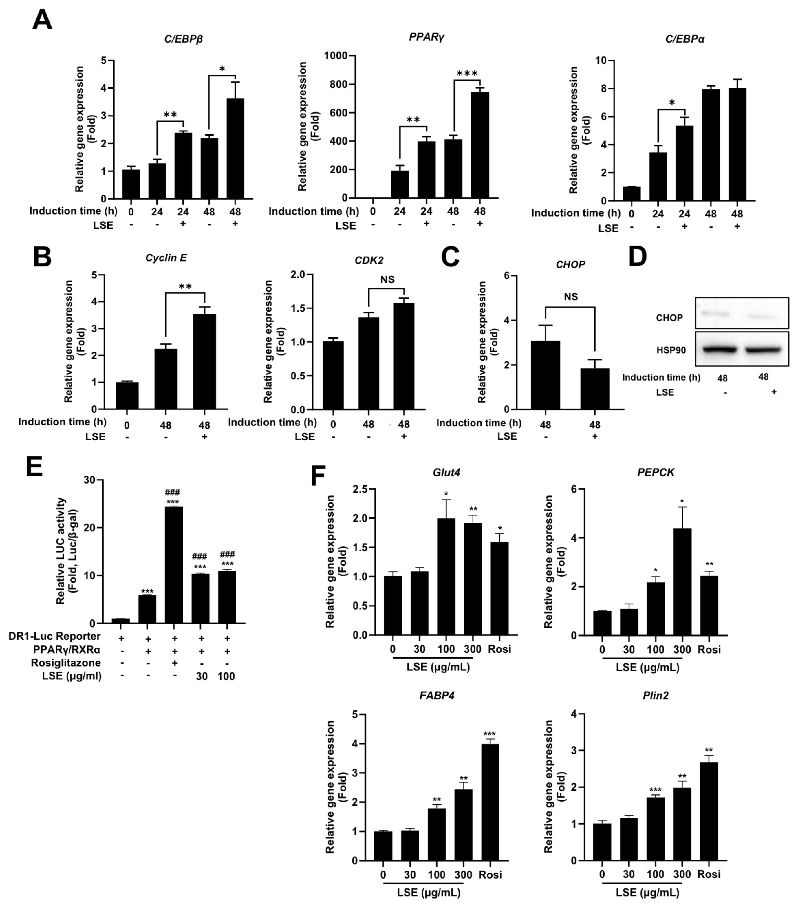 Pharmaceuticals 18 00150 g003