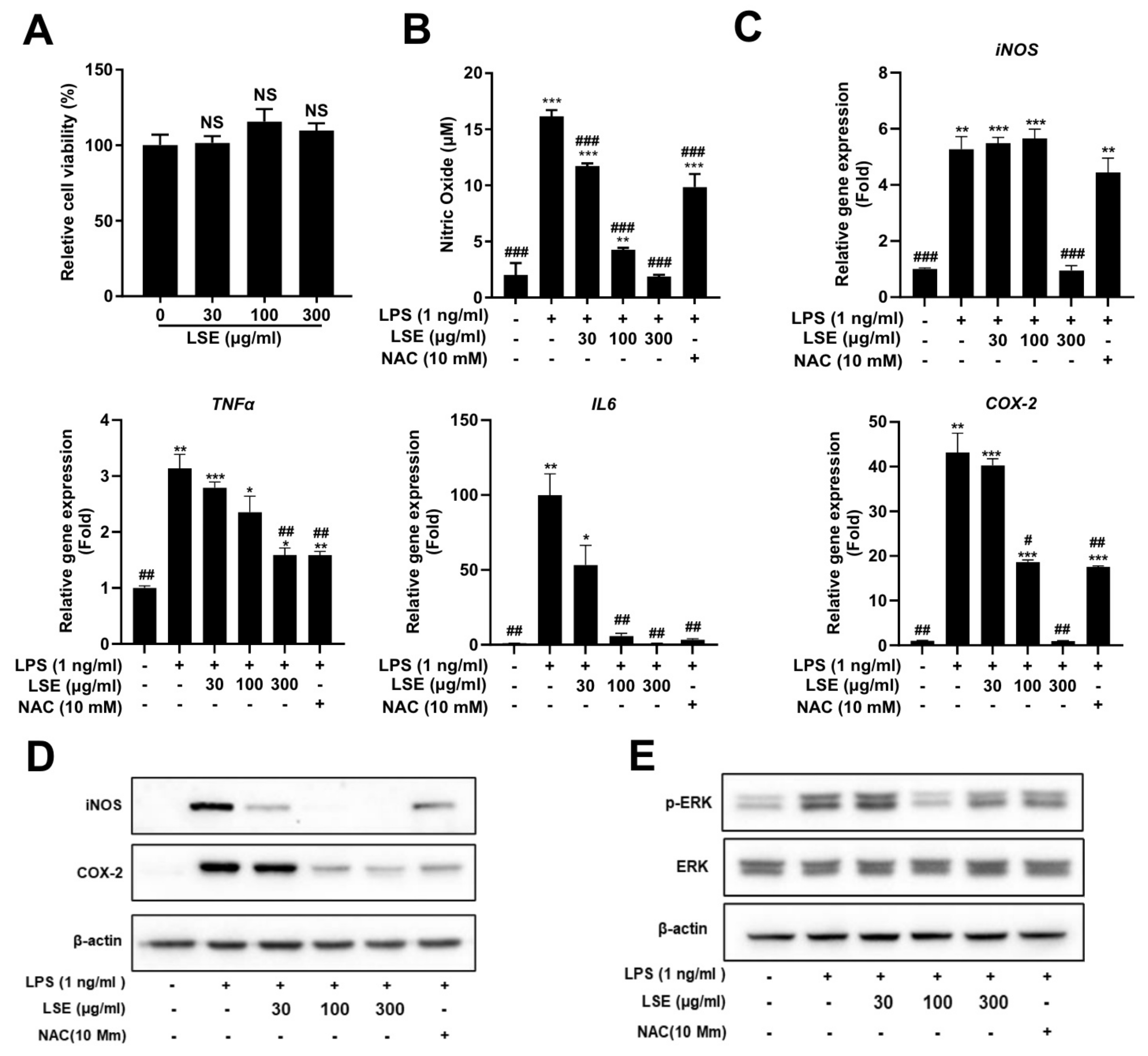 Pharmaceuticals 18 00150 g004