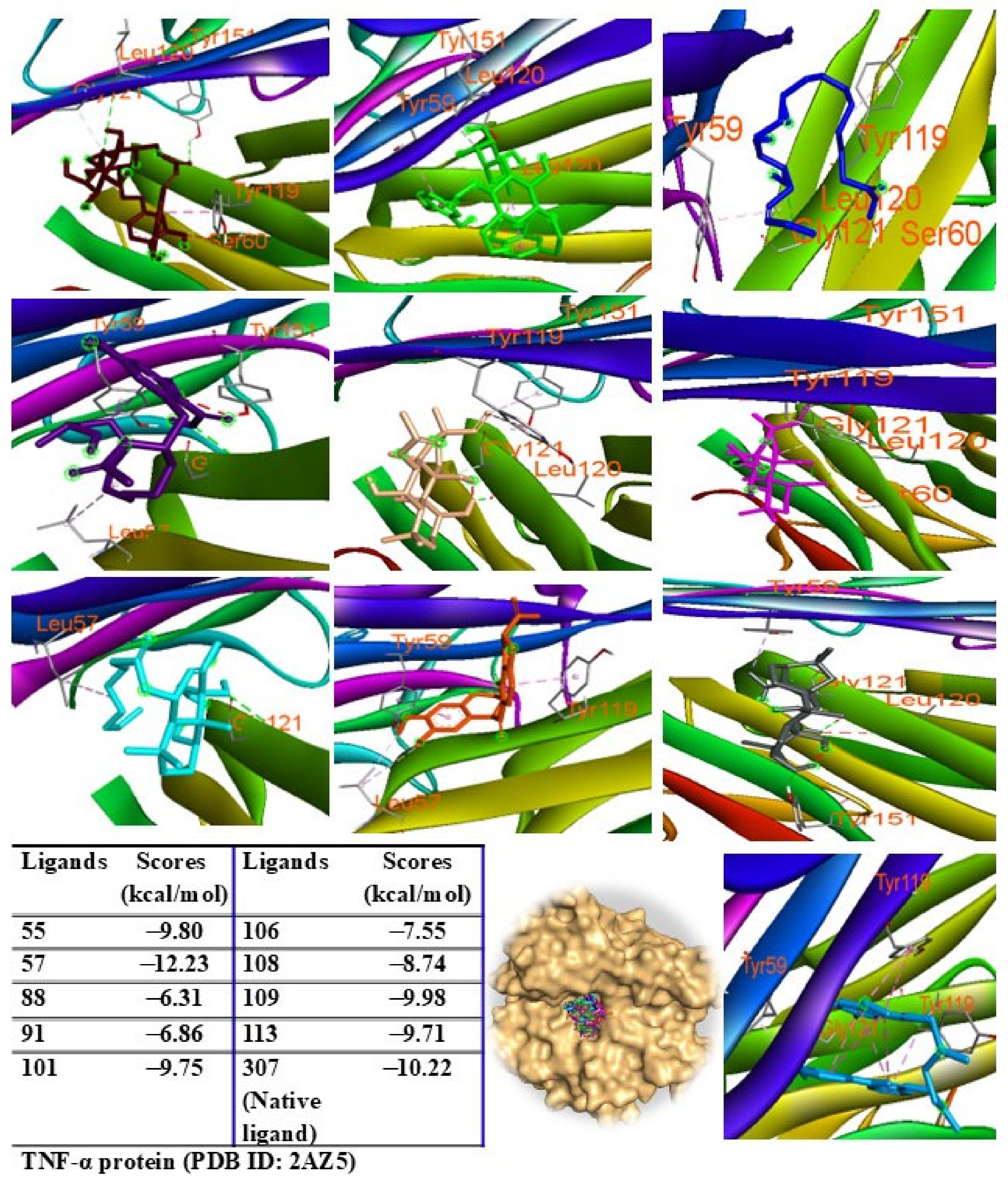 Pharmaceuticals 18 00150 g012