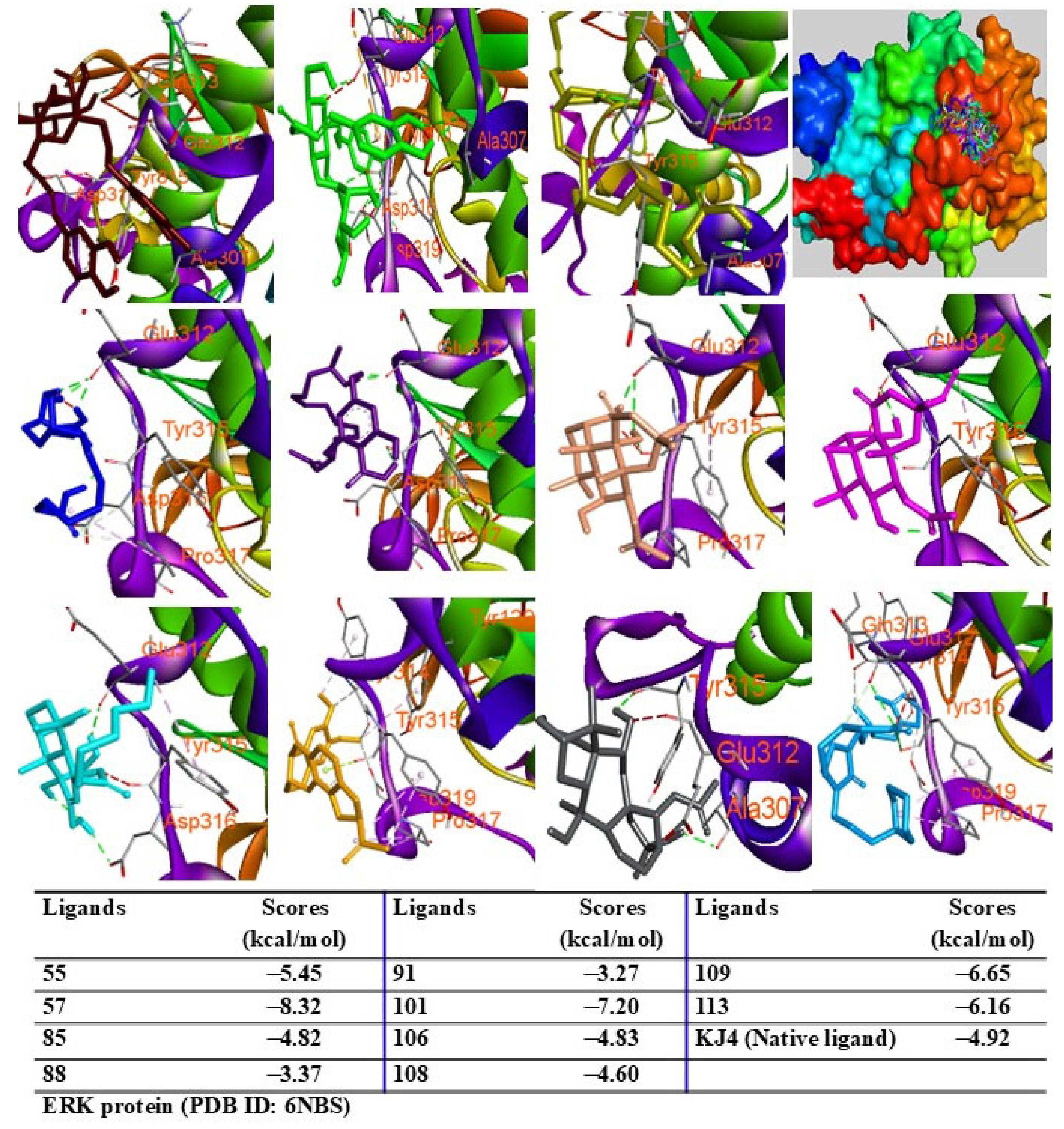Pharmaceuticals 18 00150 g013