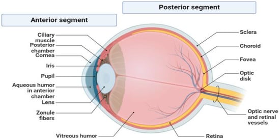 Pharmaceuticals 18 00155 g001