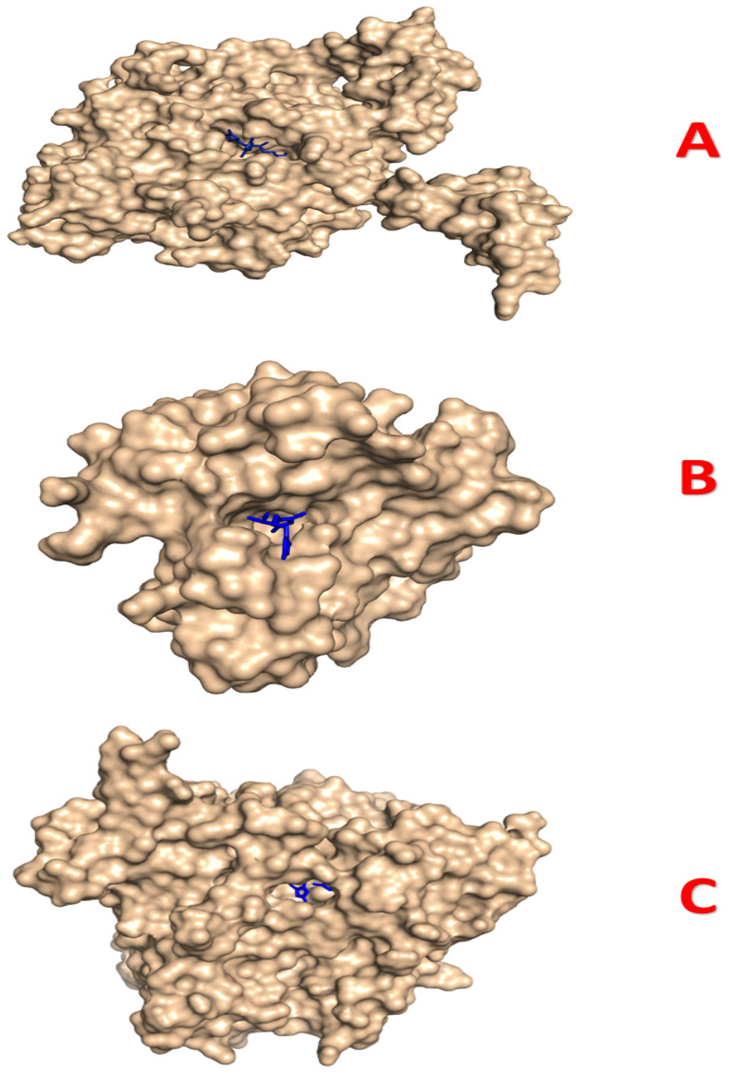 Pharmaceuticals 18 00167 g014
