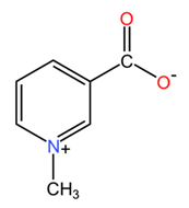 Pharmaceuticals 18 00171 i002
