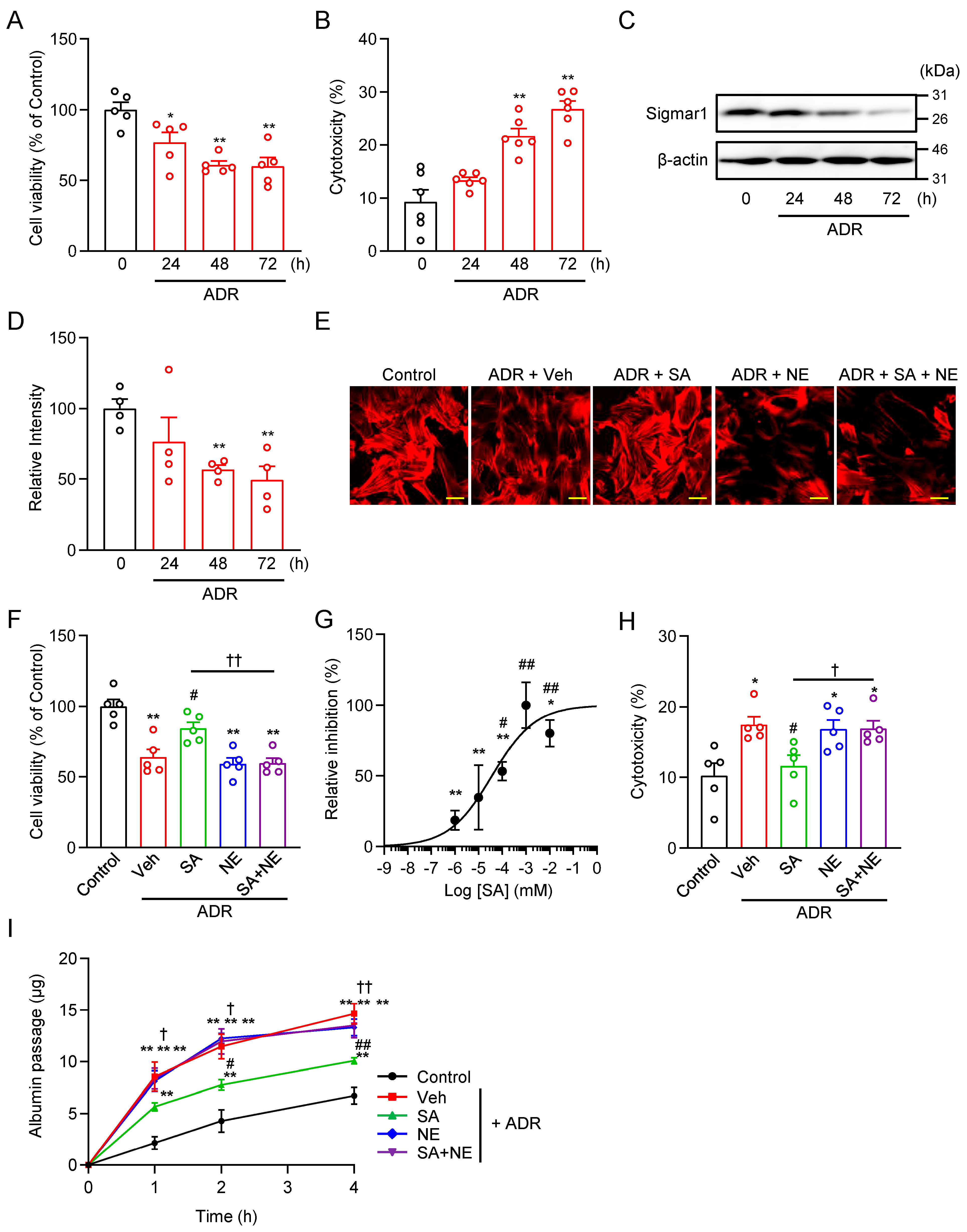 Pharmaceuticals 18 00172 g002