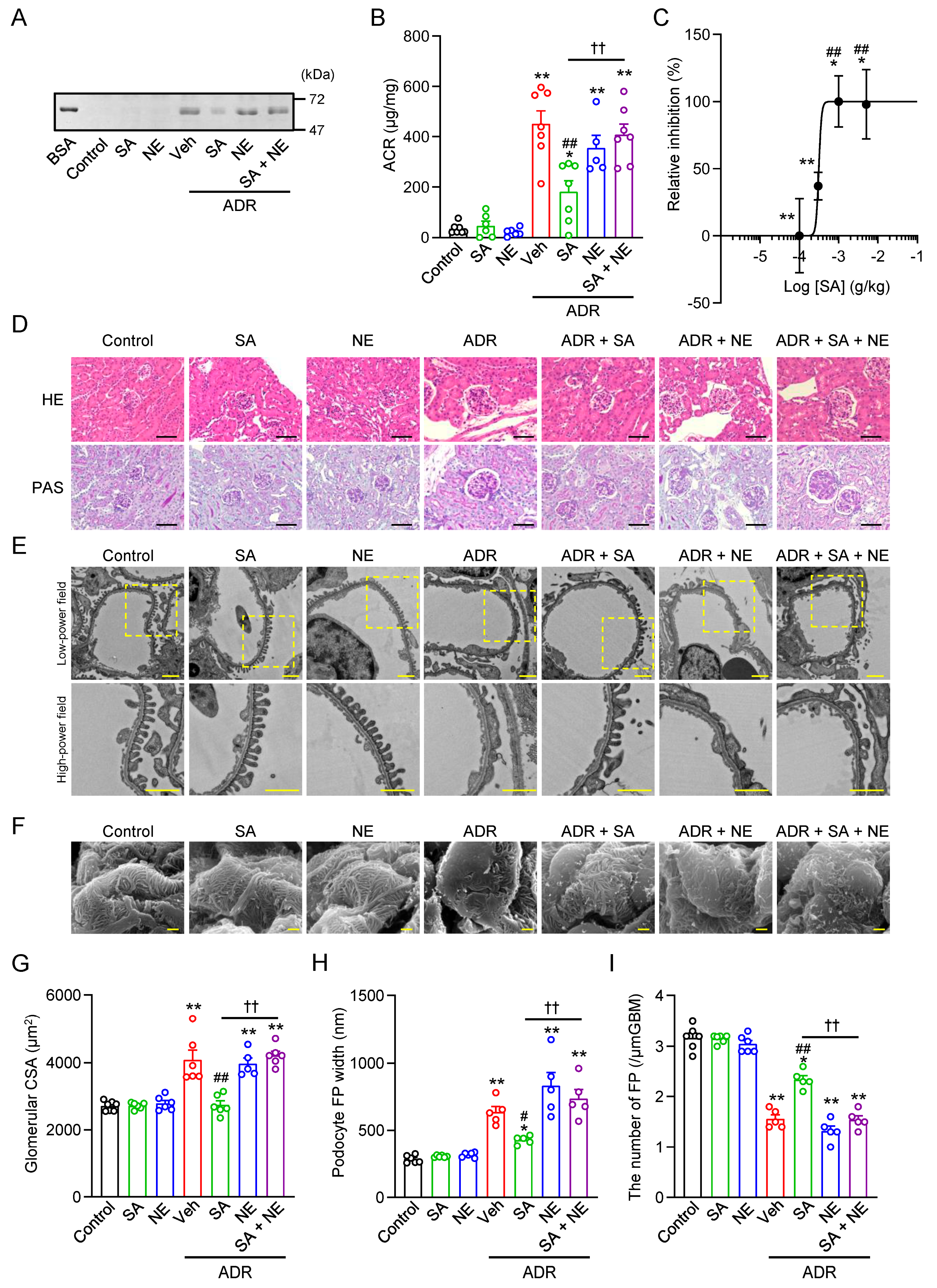 Pharmaceuticals 18 00172 g005