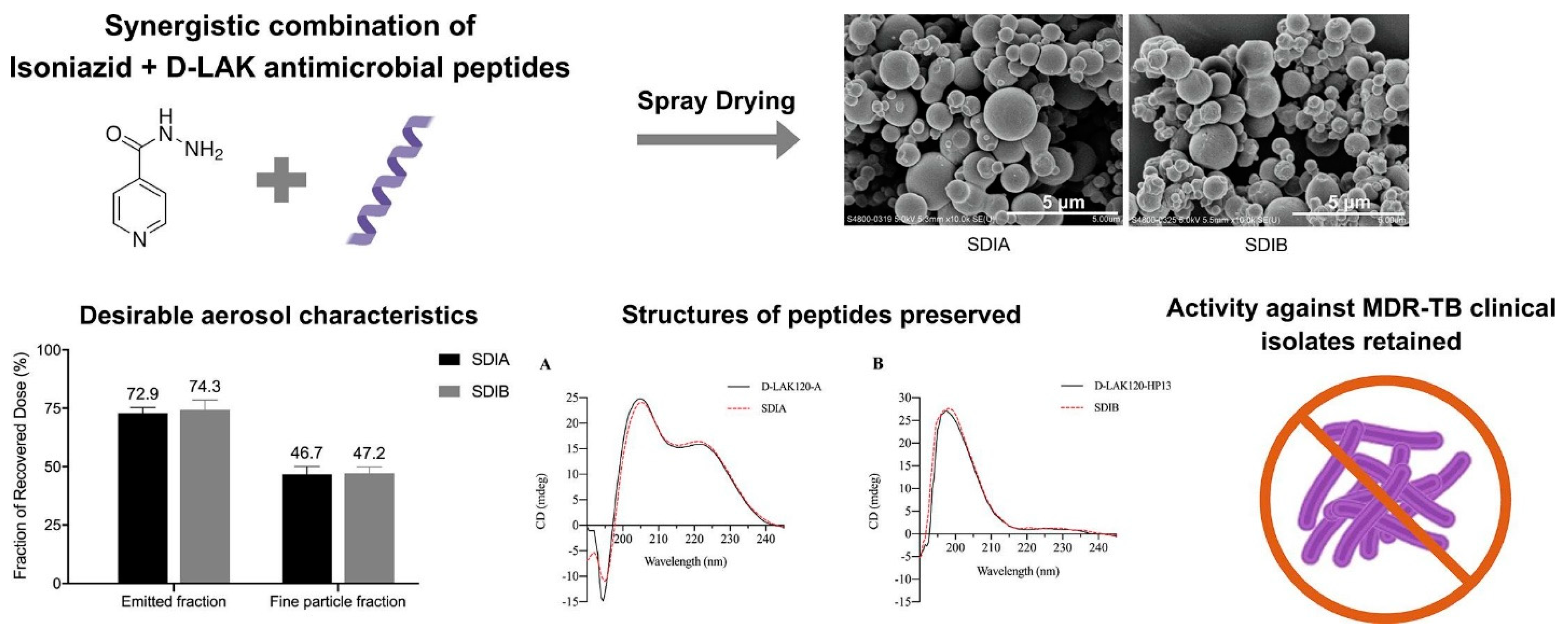 Pharmaceuticals 18 00175 g002 Pharmaceuticals 18 00175 g002