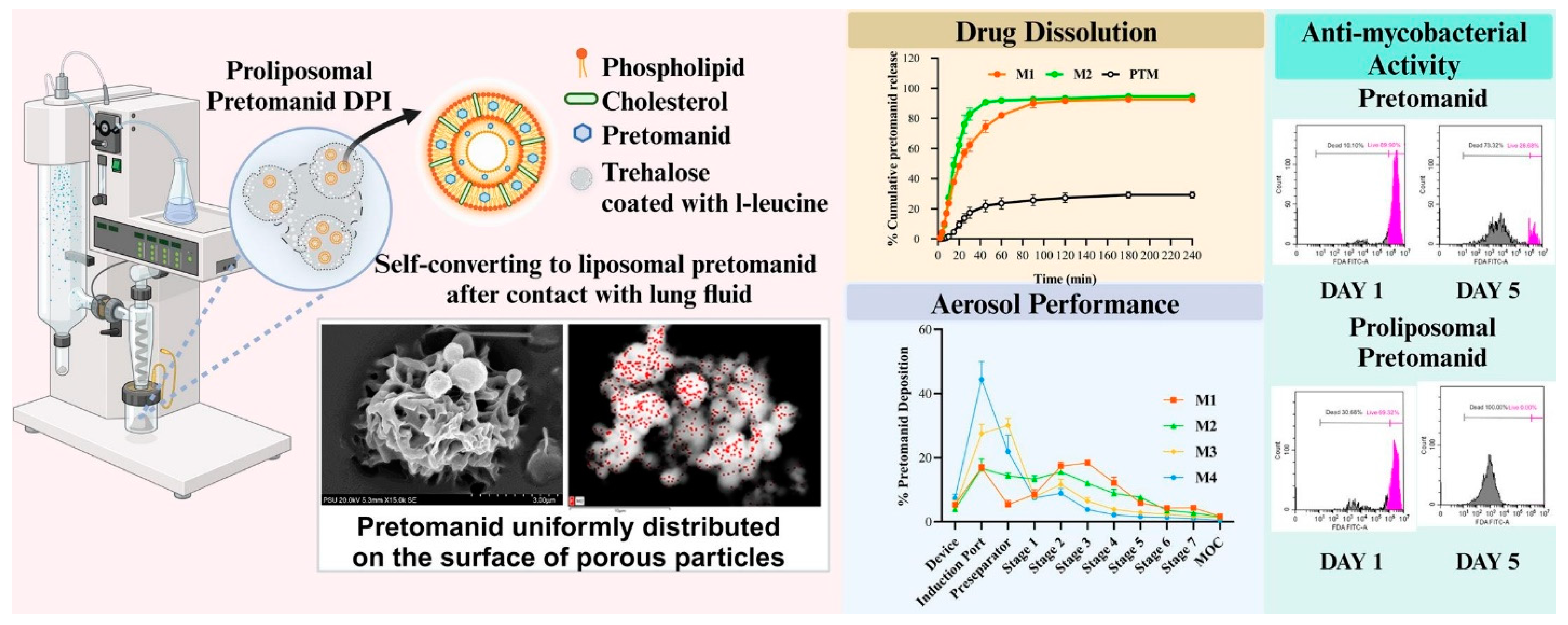 Pharmaceuticals 18 00175 g004 Pharmaceuticals 18 00175 g004
