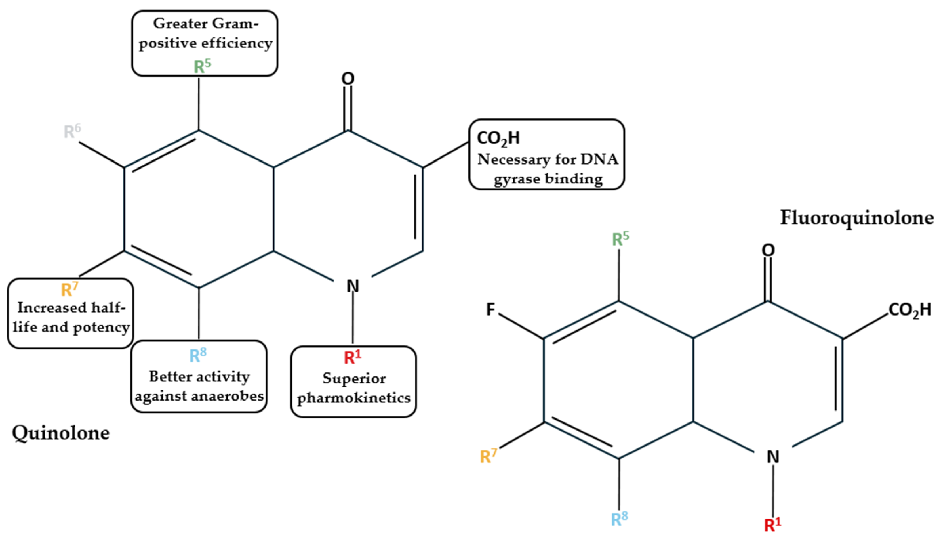 Pharmaceuticals 18 00184 g003 Pharmaceuticals 18 00184 g003