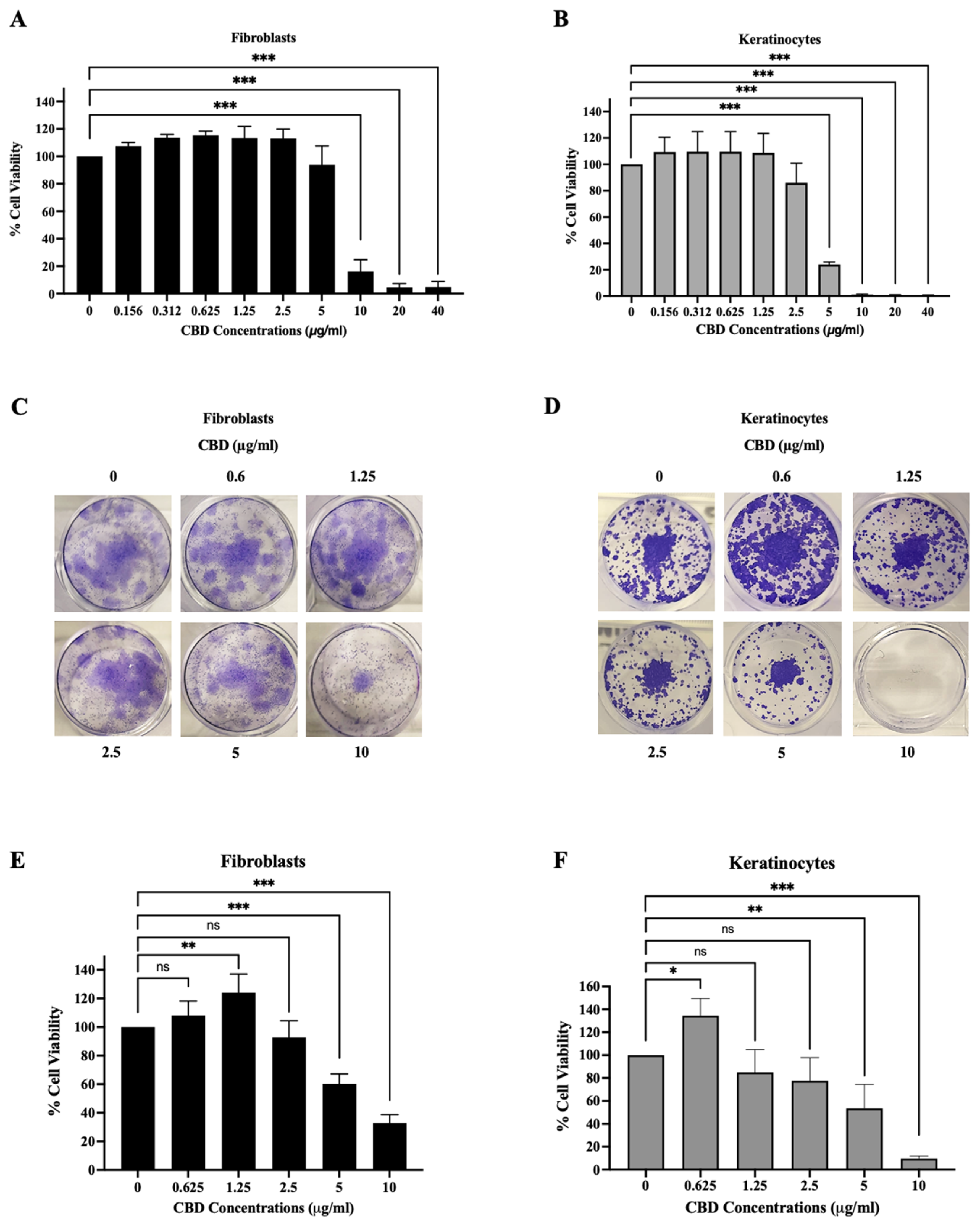 Pharmaceuticals 18 00202 g001