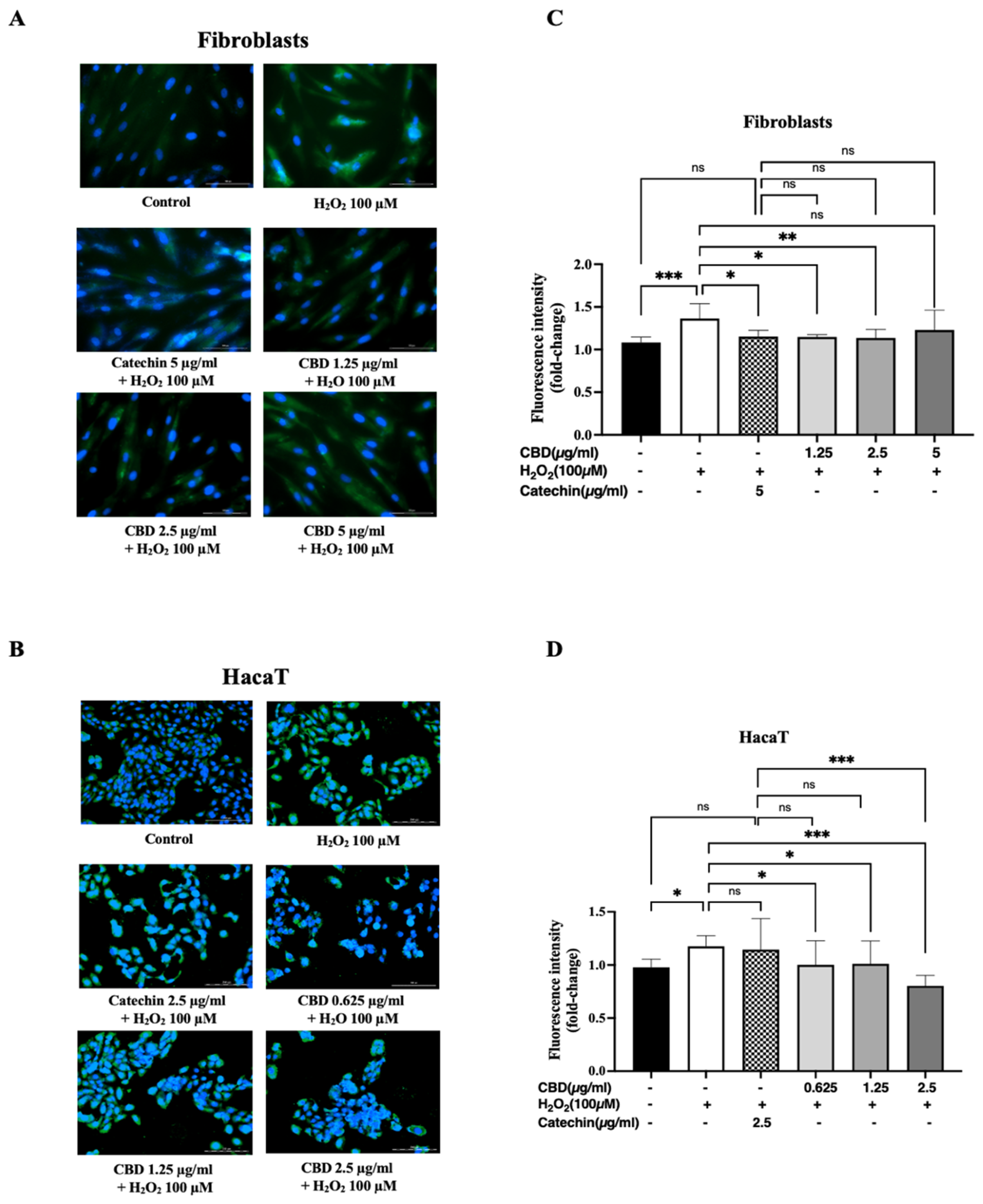Pharmaceuticals 18 00202 g002