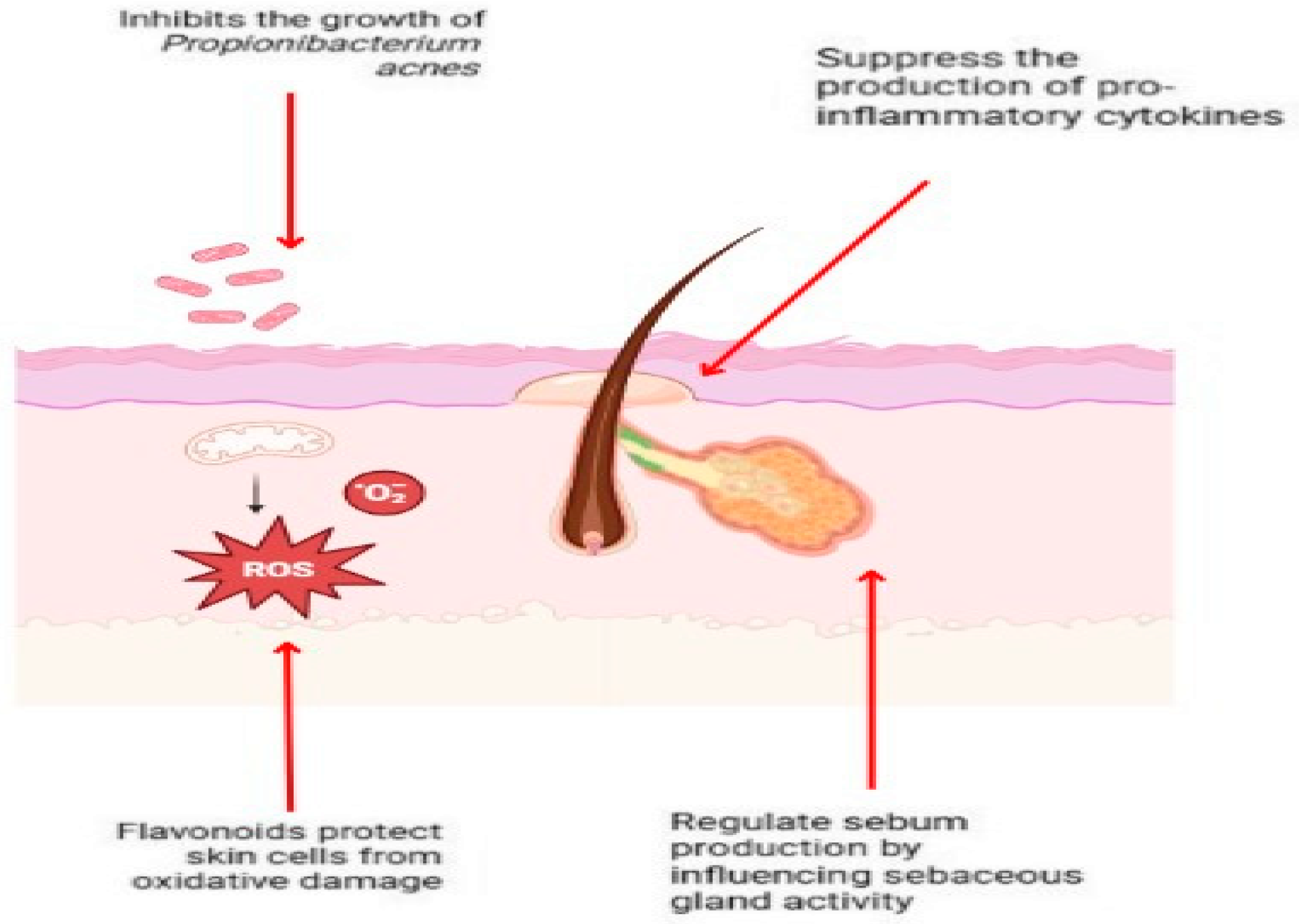 Pharmaceuticals 18 00209 g002