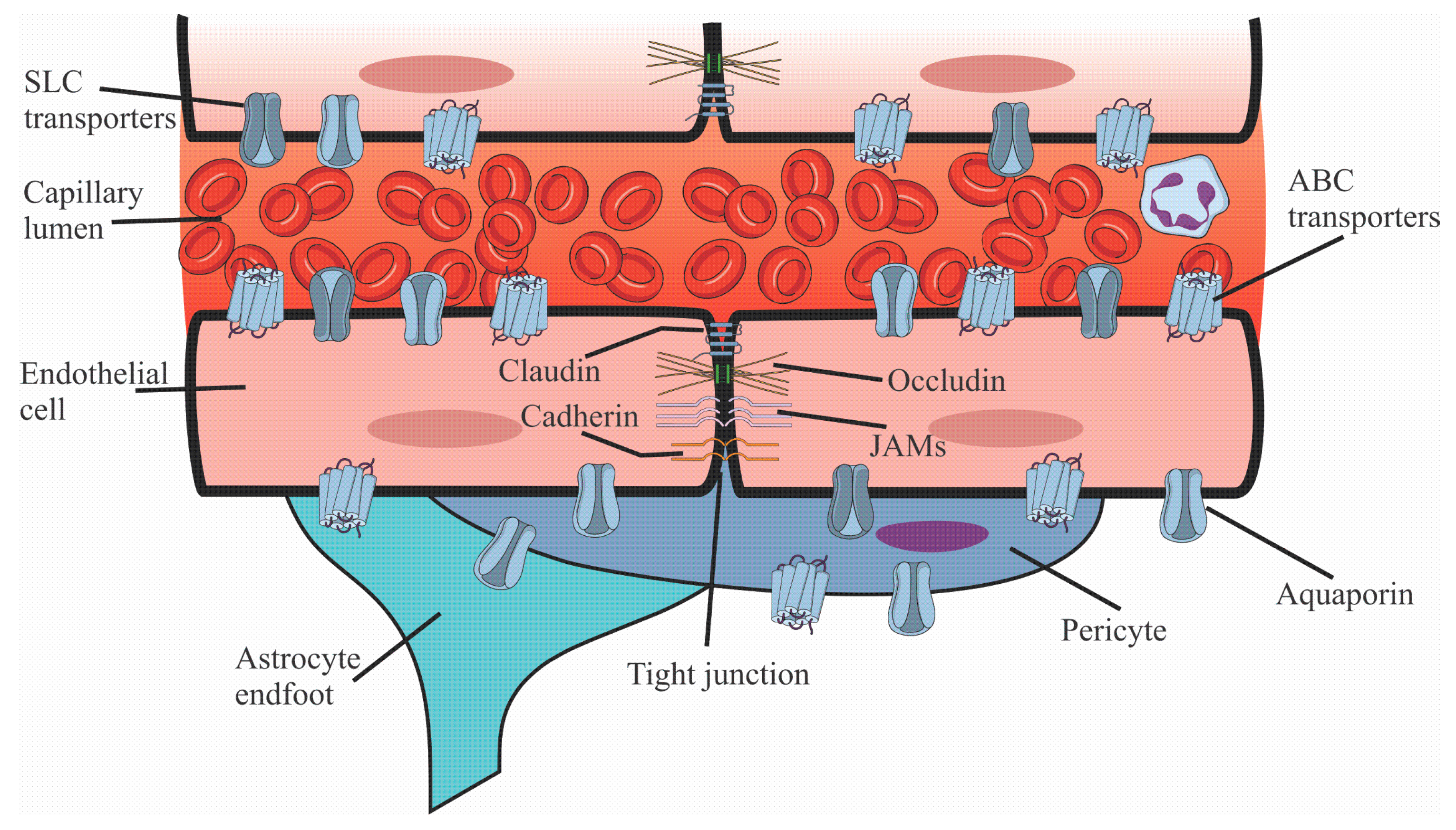 Pharmaceuticals 18 00217 g002